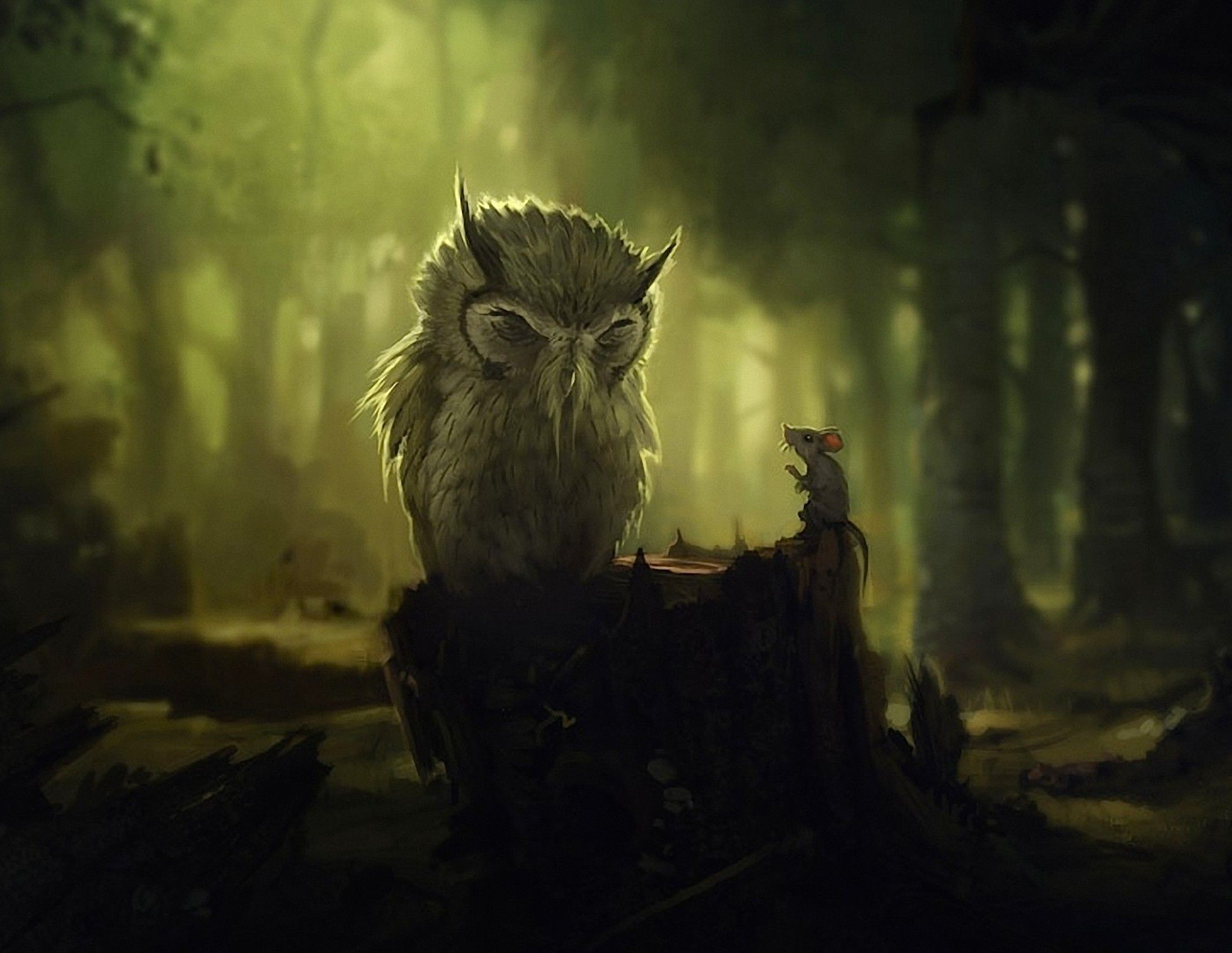 Angry Owl Face Wallpapers