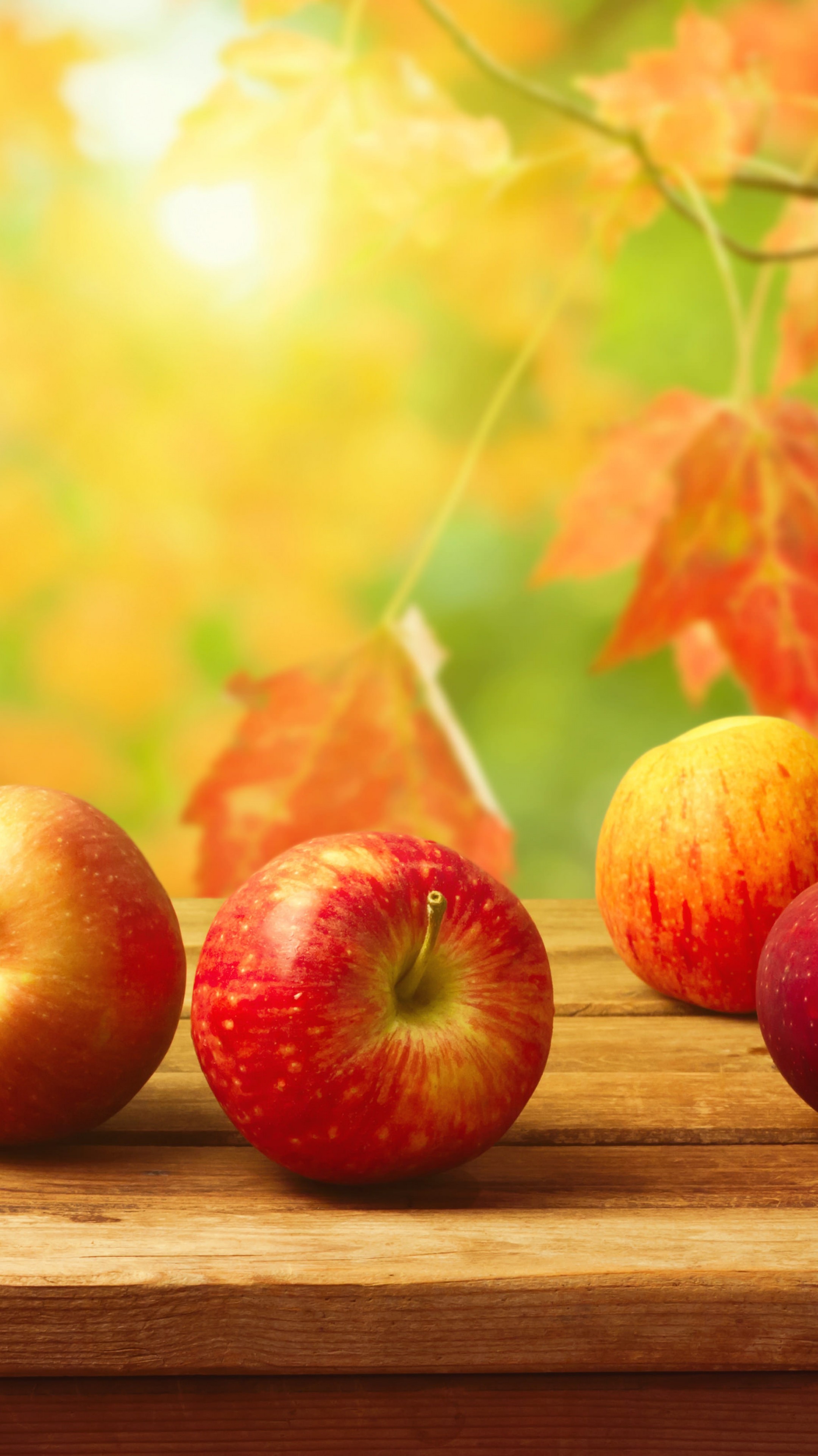 Apple Fruit Wallpapers