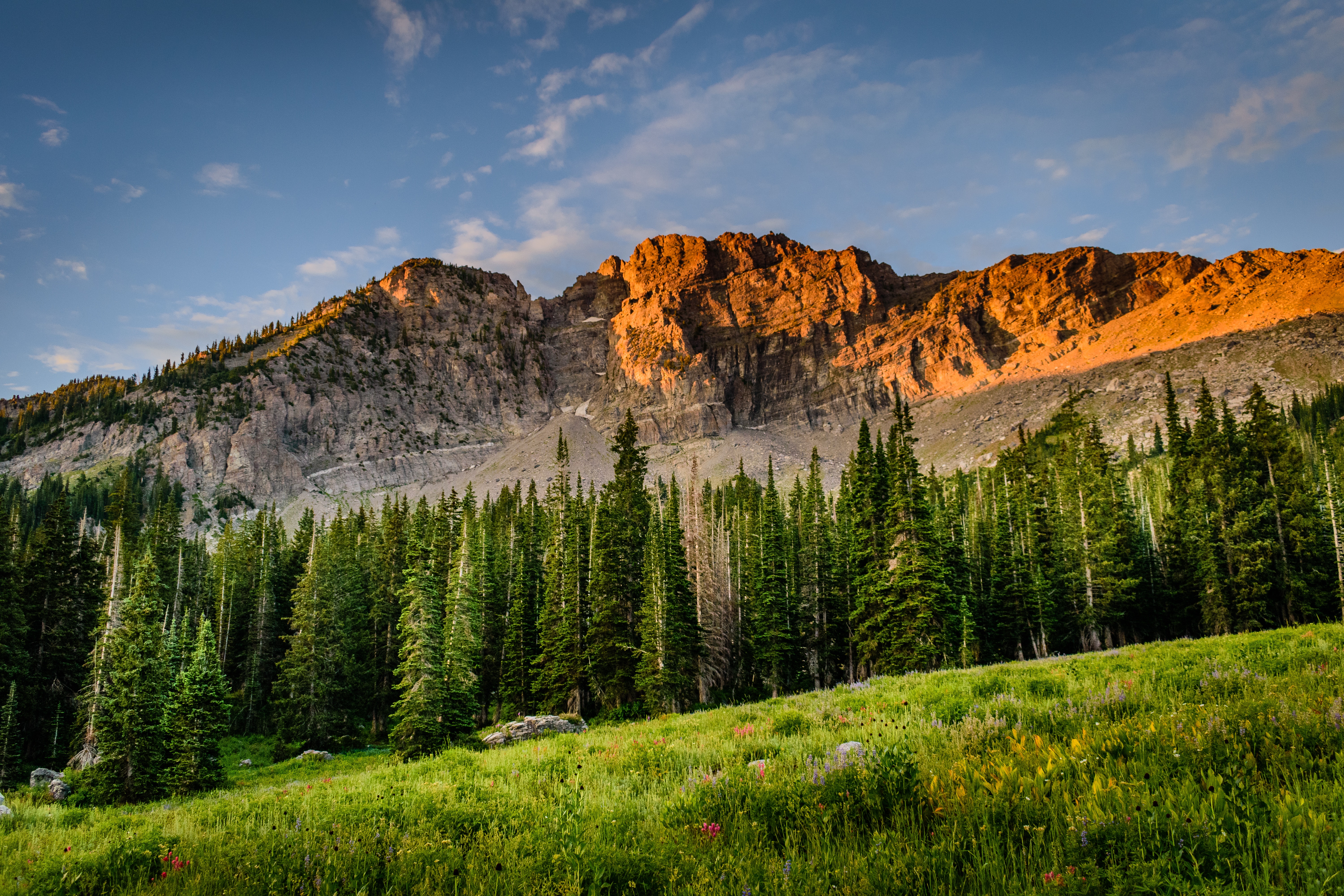 Apple Macbook Wallpapers