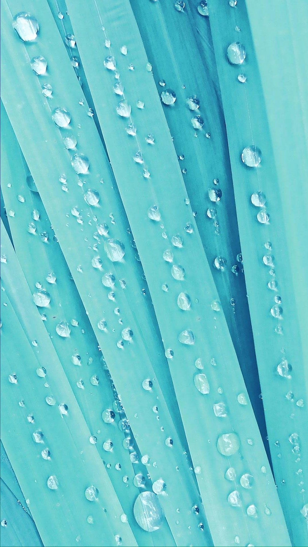 Aqua Color Wallpapers