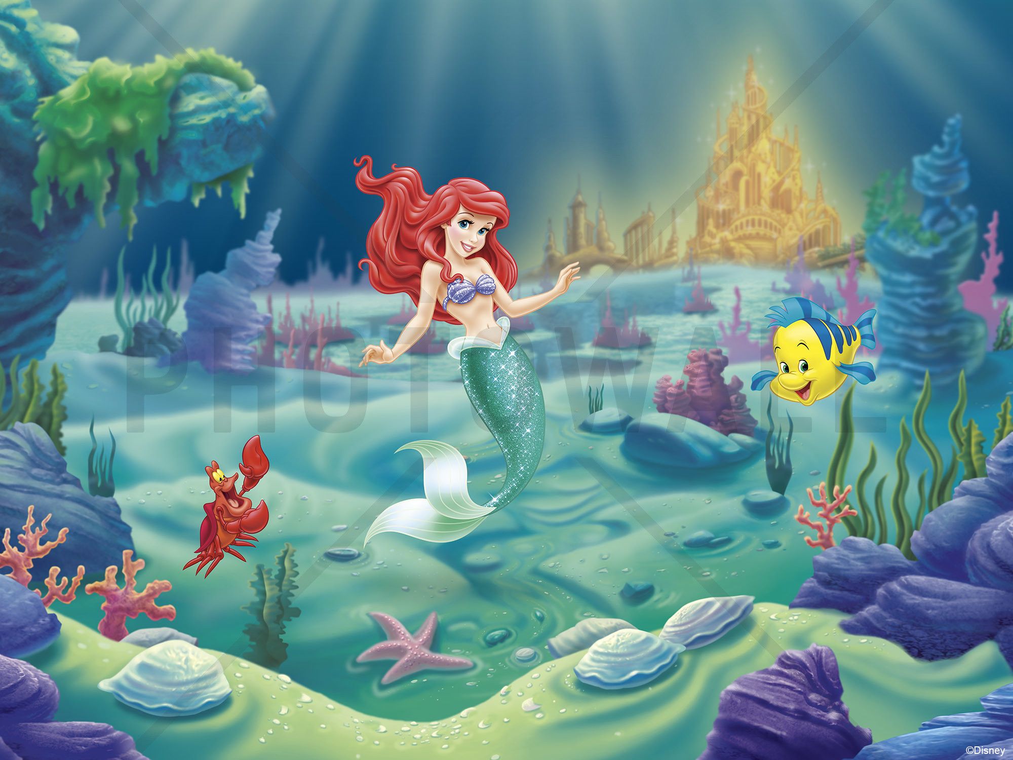 Ariel Disney Princess Wallpapers