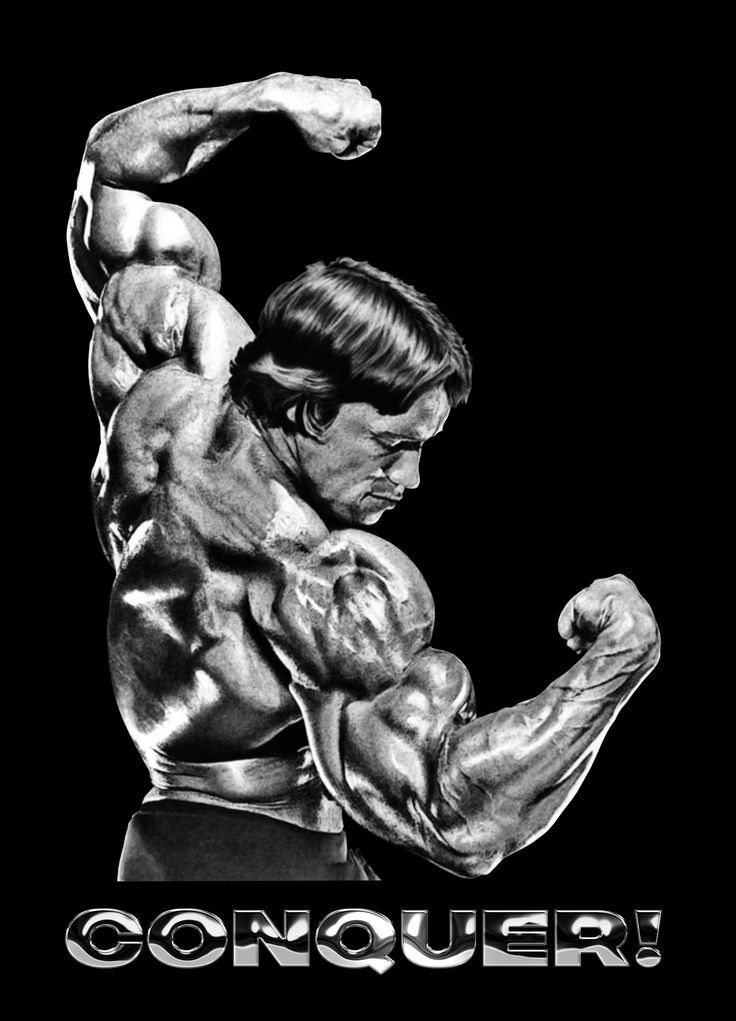 Arnold Schwarzenegger Conquer Wallpapers