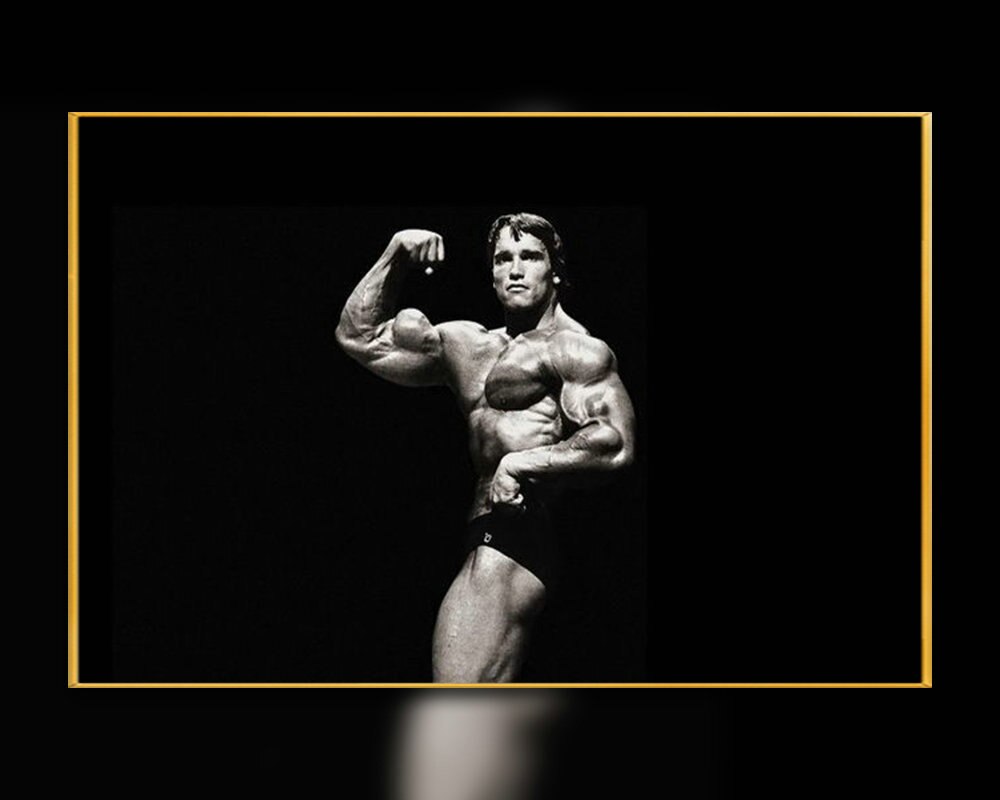 Arnold Schwarzenegger Conquer Wallpapers on Ewallpapers