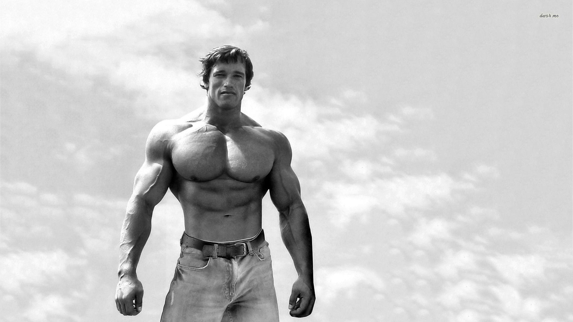 Arnold Schwarzenegger Conquer Wallpapers