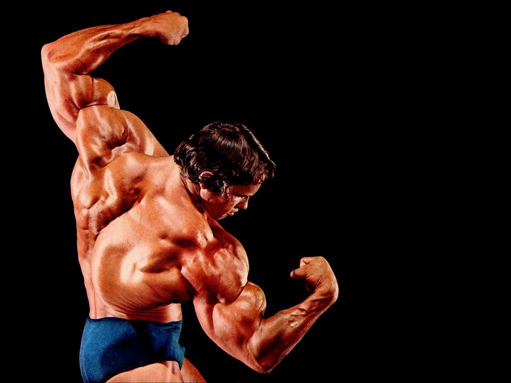 Arnold Schwarzenegger Conquer Wallpapers