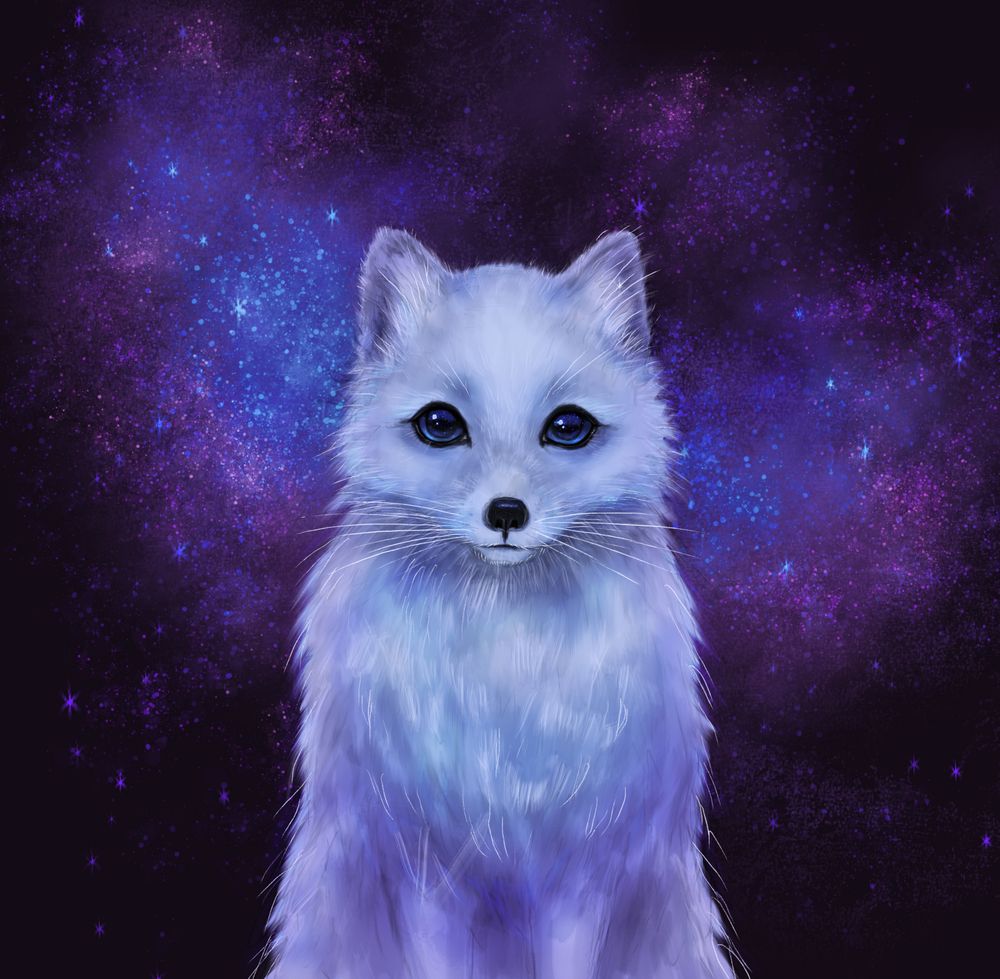 Art Arctic Fox Wallpapers