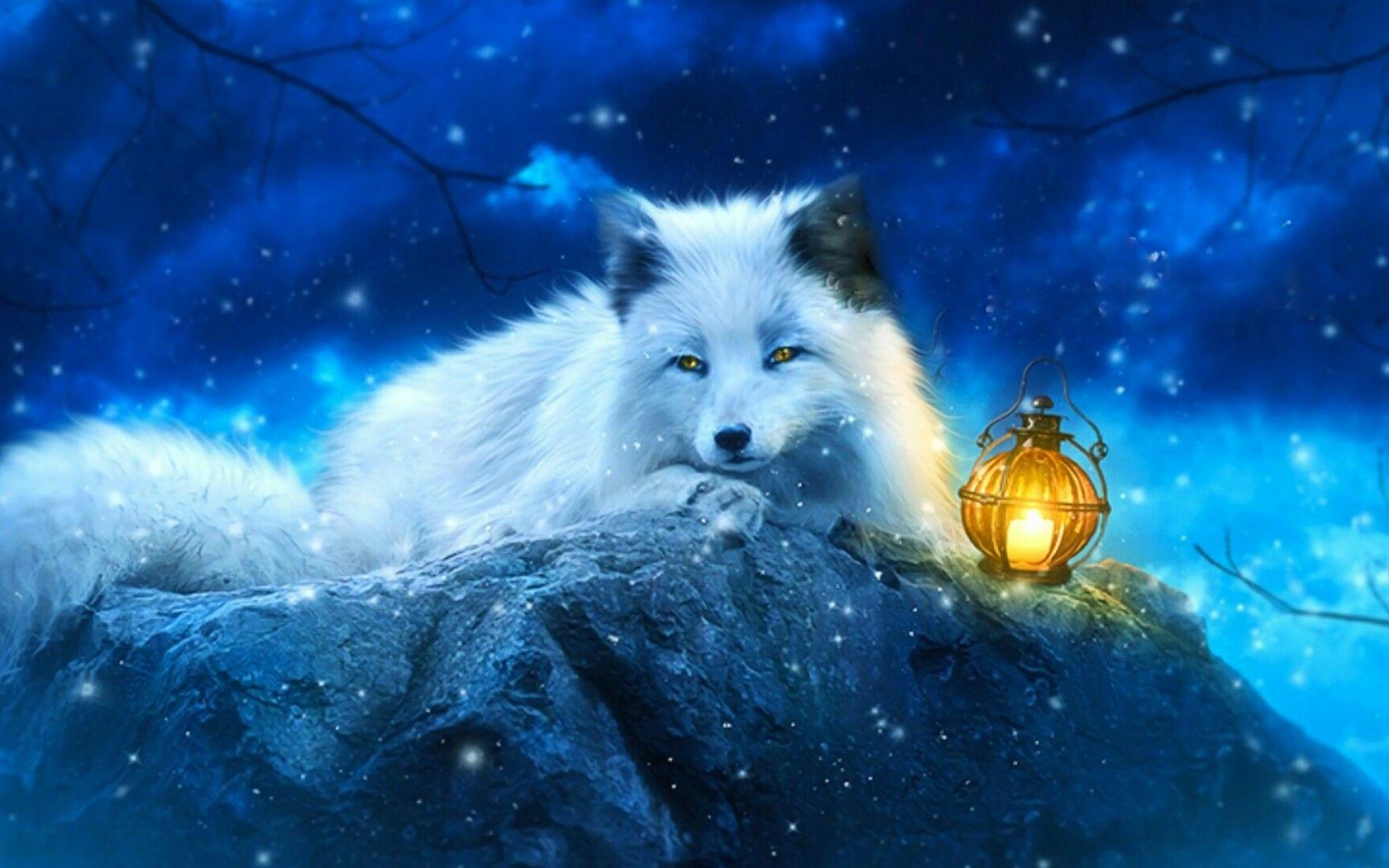 Art Arctic Fox Wallpapers