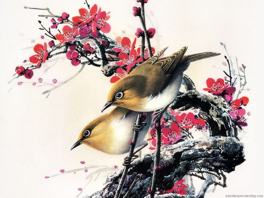 Asian Bird Wallpapers