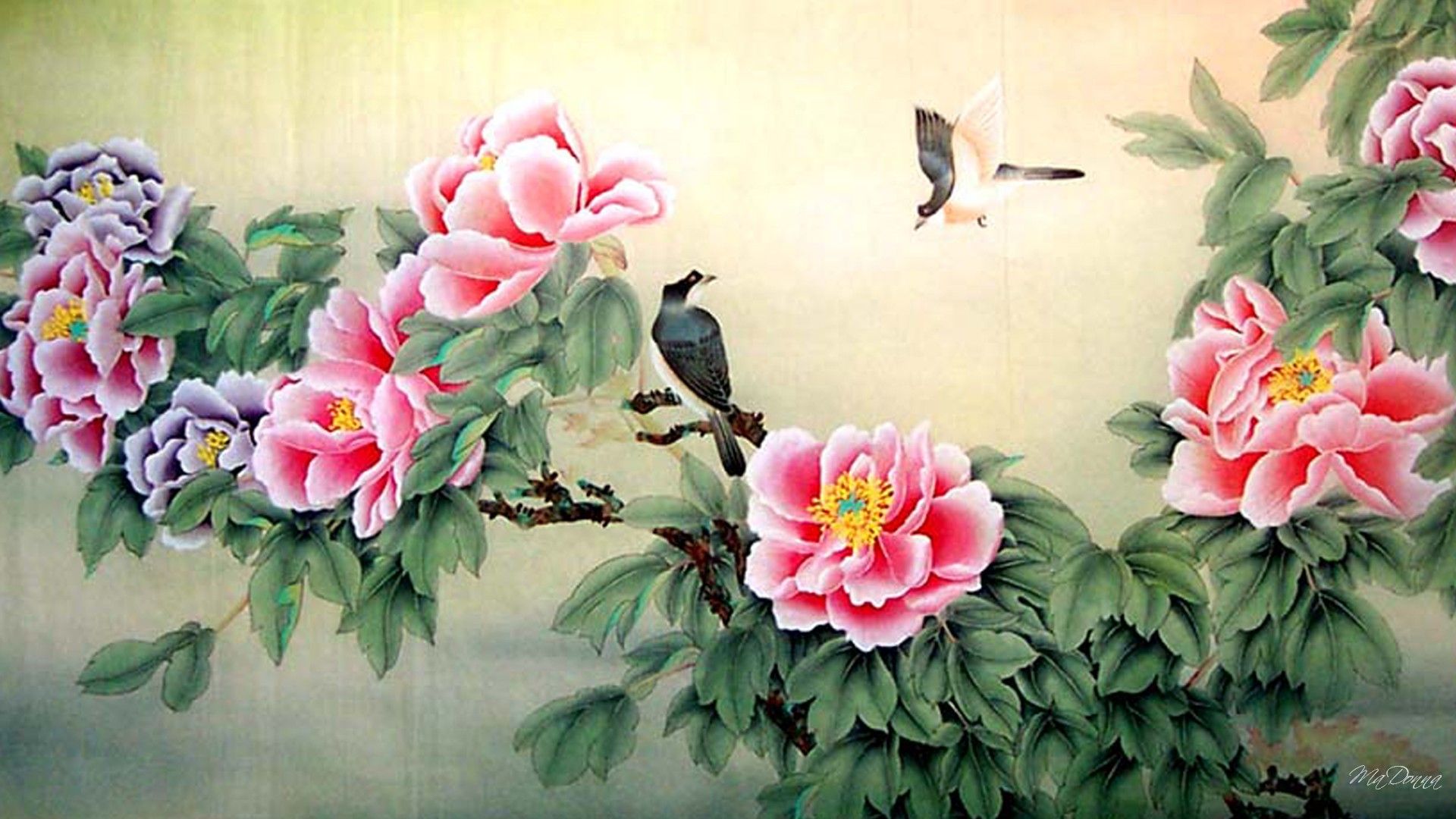 Asian Bird Wallpapers