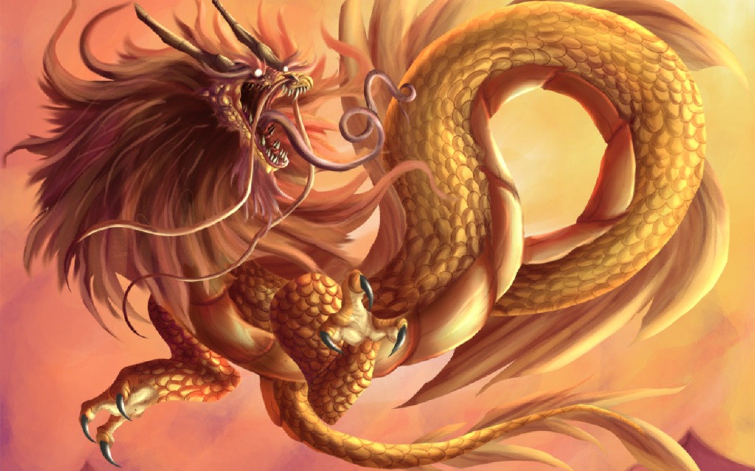 Asian Dragon Wallpapers