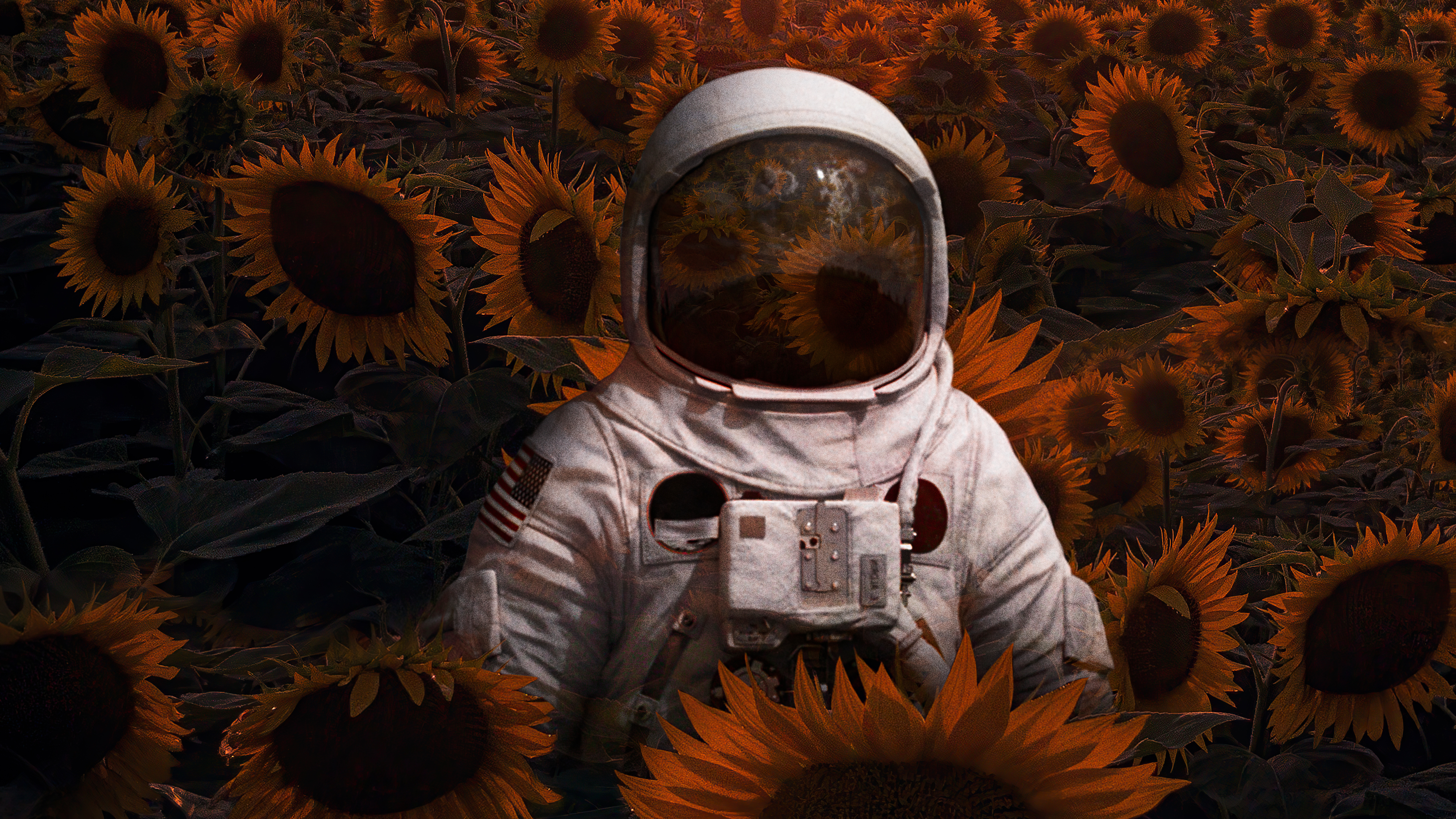 Astronaut Flowers Painting Wallpapers