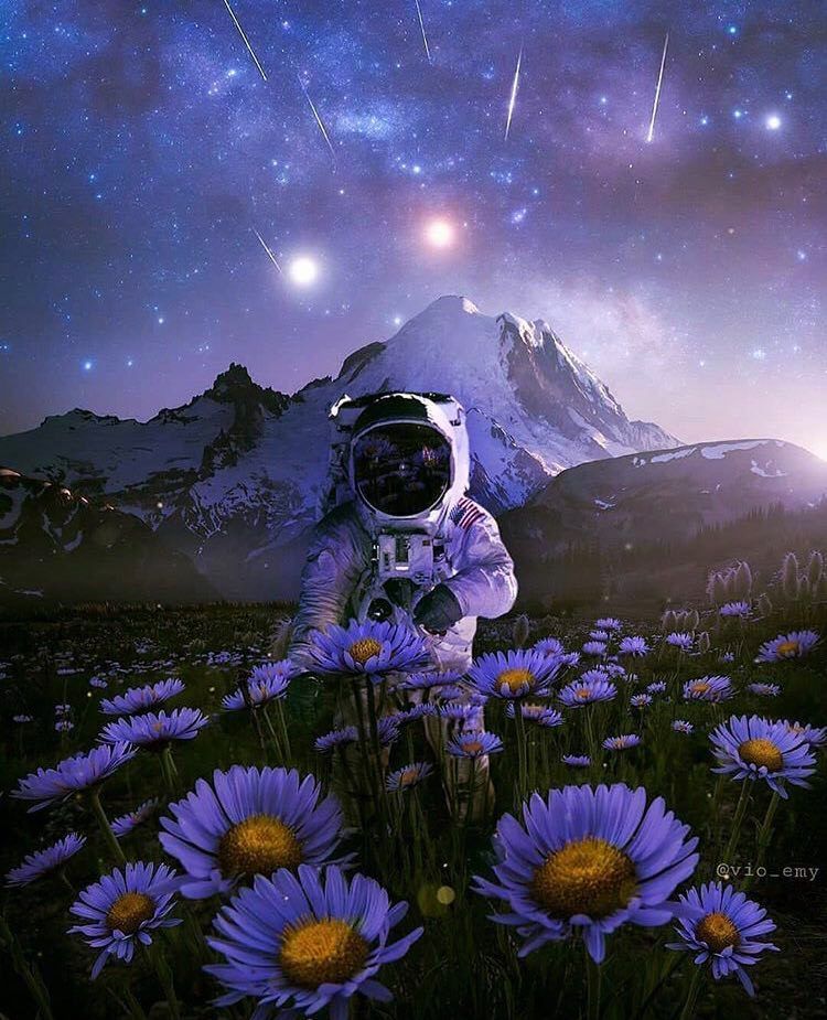 Astronaut Flowers Painting Wallpapers