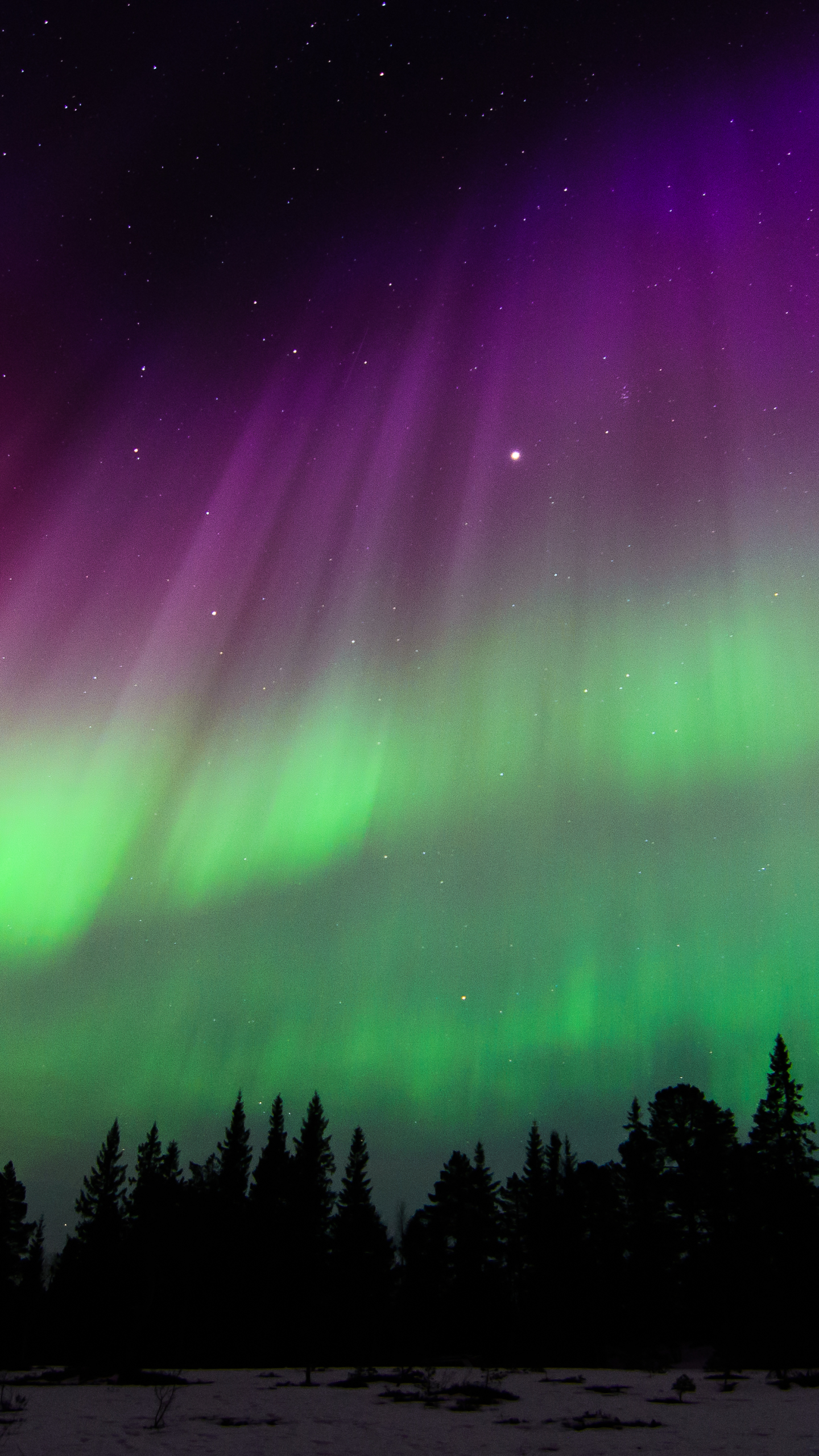 Aurora Borealis Phone Wallpapers