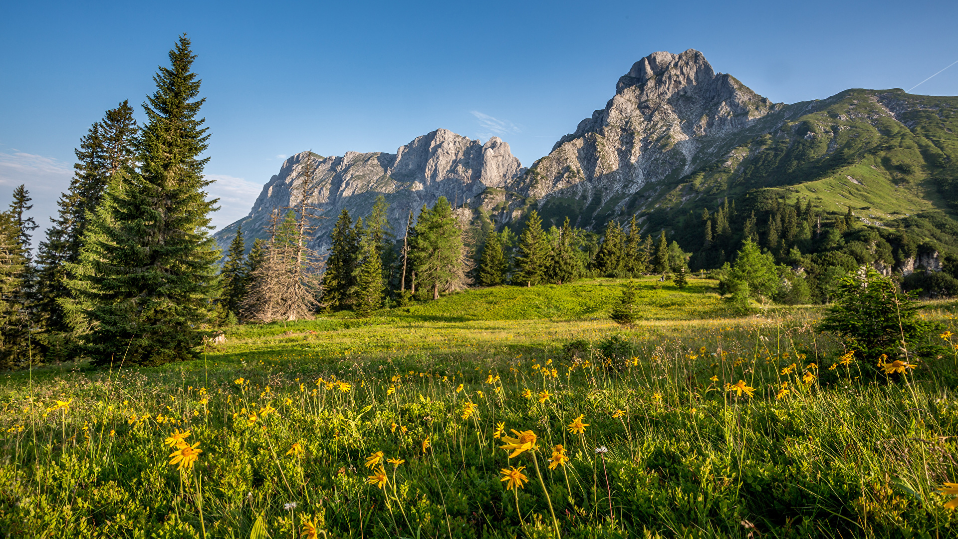 Austrian Alps Wallpapers