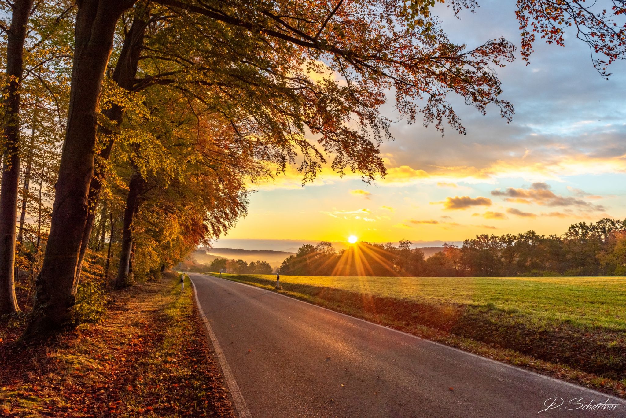 Autumn Sunrise Wallpapers