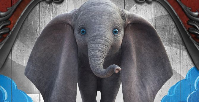 Baby Elephant Wallpapers