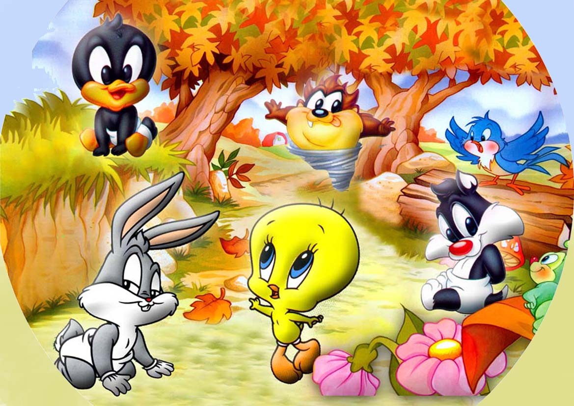 Baby Looney Tunes Images Wallpapers