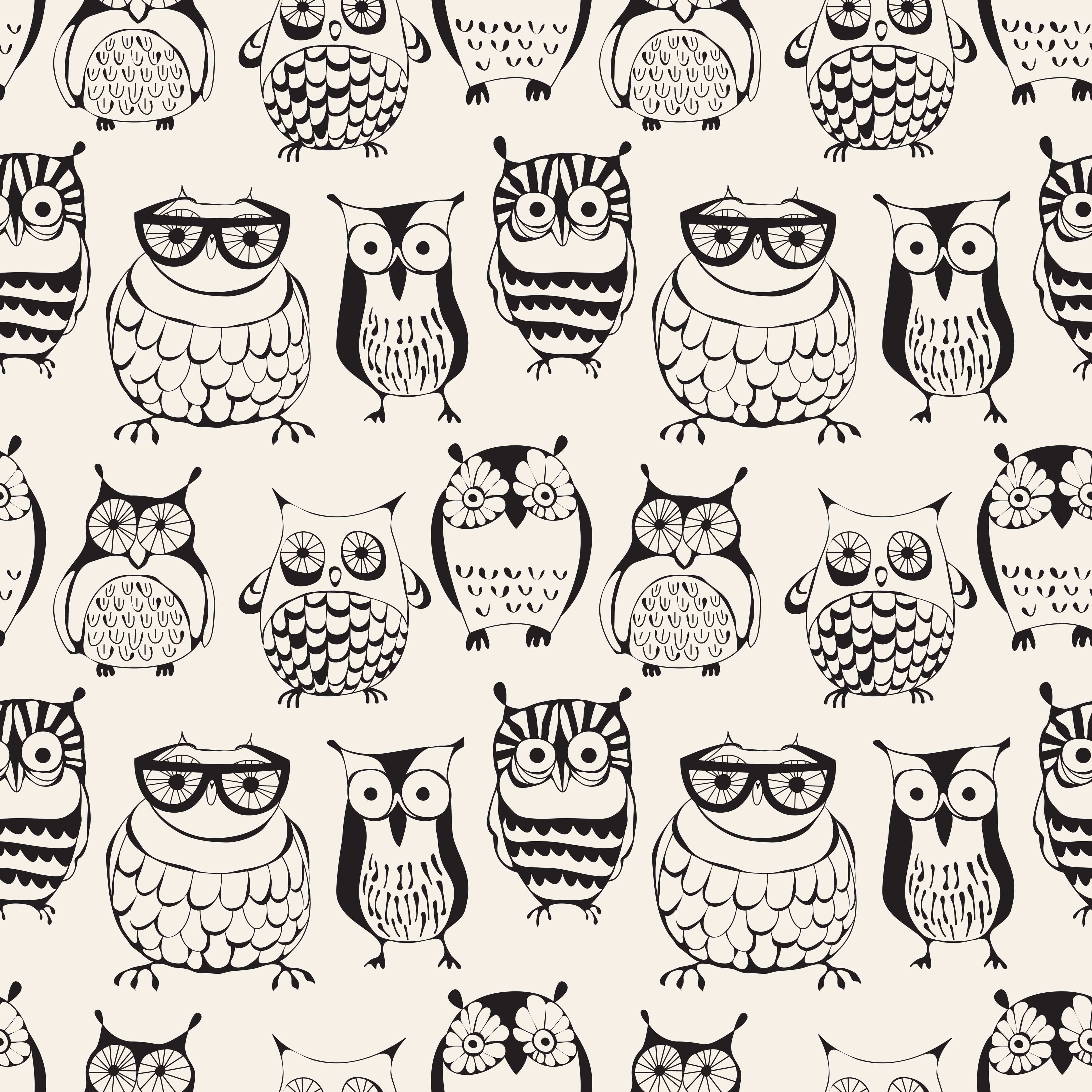 Baby Owls Cartoons Wallpapers