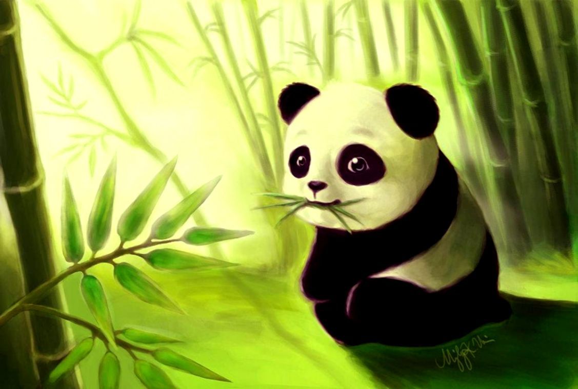 Baby Panda Wallpapers