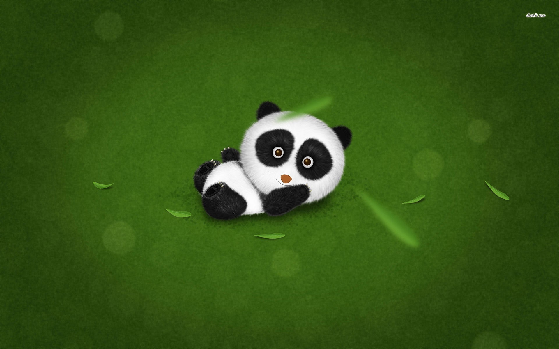 Baby Panda Wallpapers