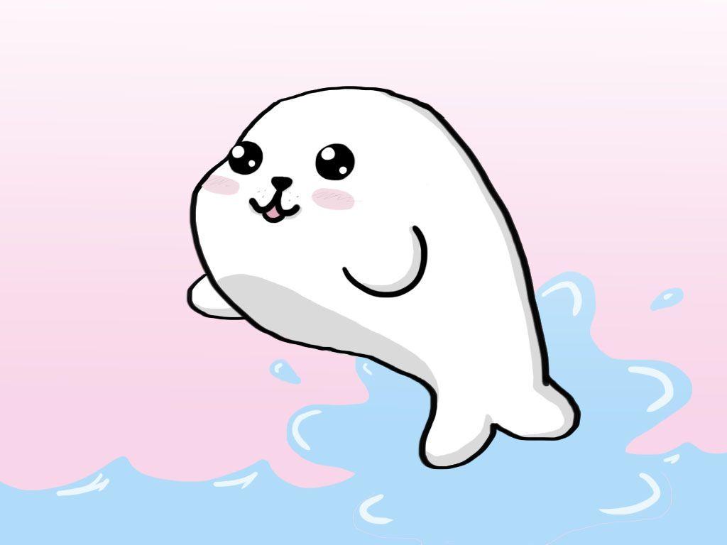 Baby Seal Wallpapers