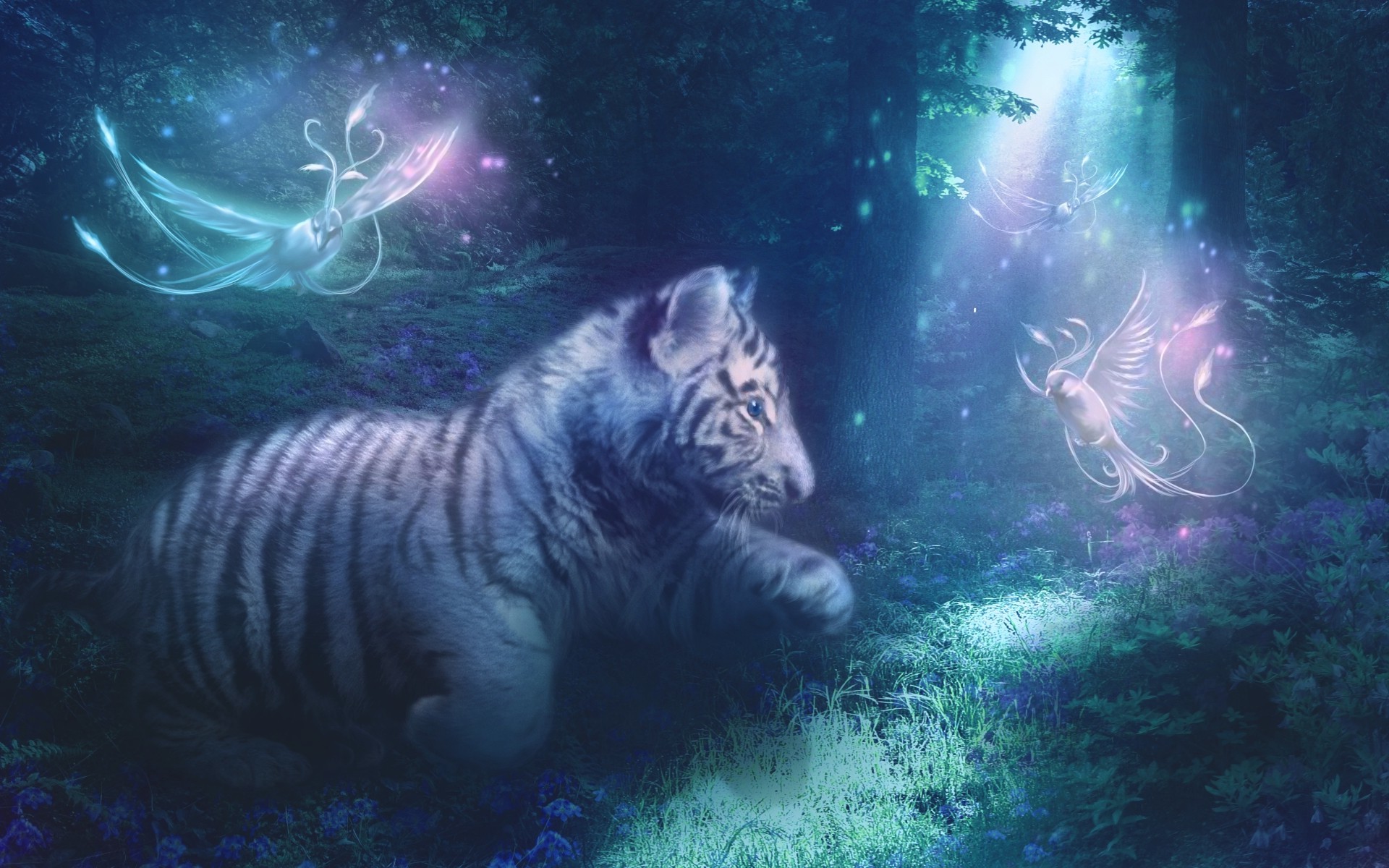 Baby Tigers Wallpapers