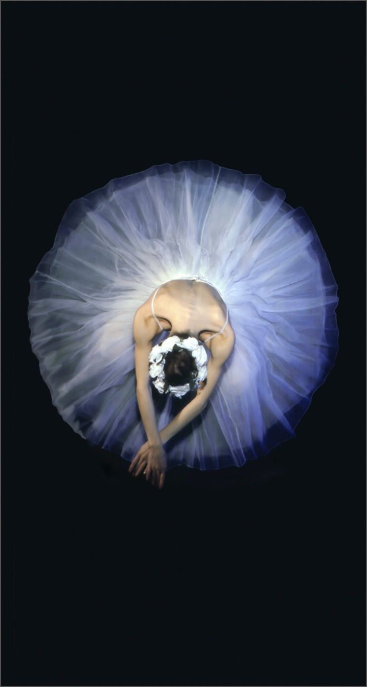 Ballet Iphone Wallpapers