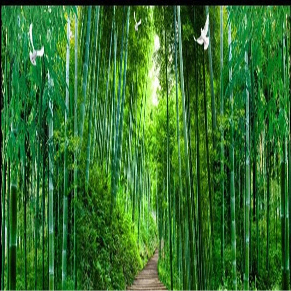 Bamboo Forest Wallpapers