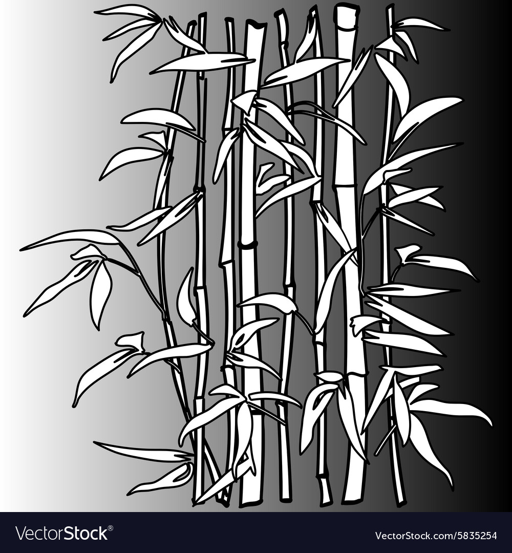 Bamboo Leaf Wallpapers