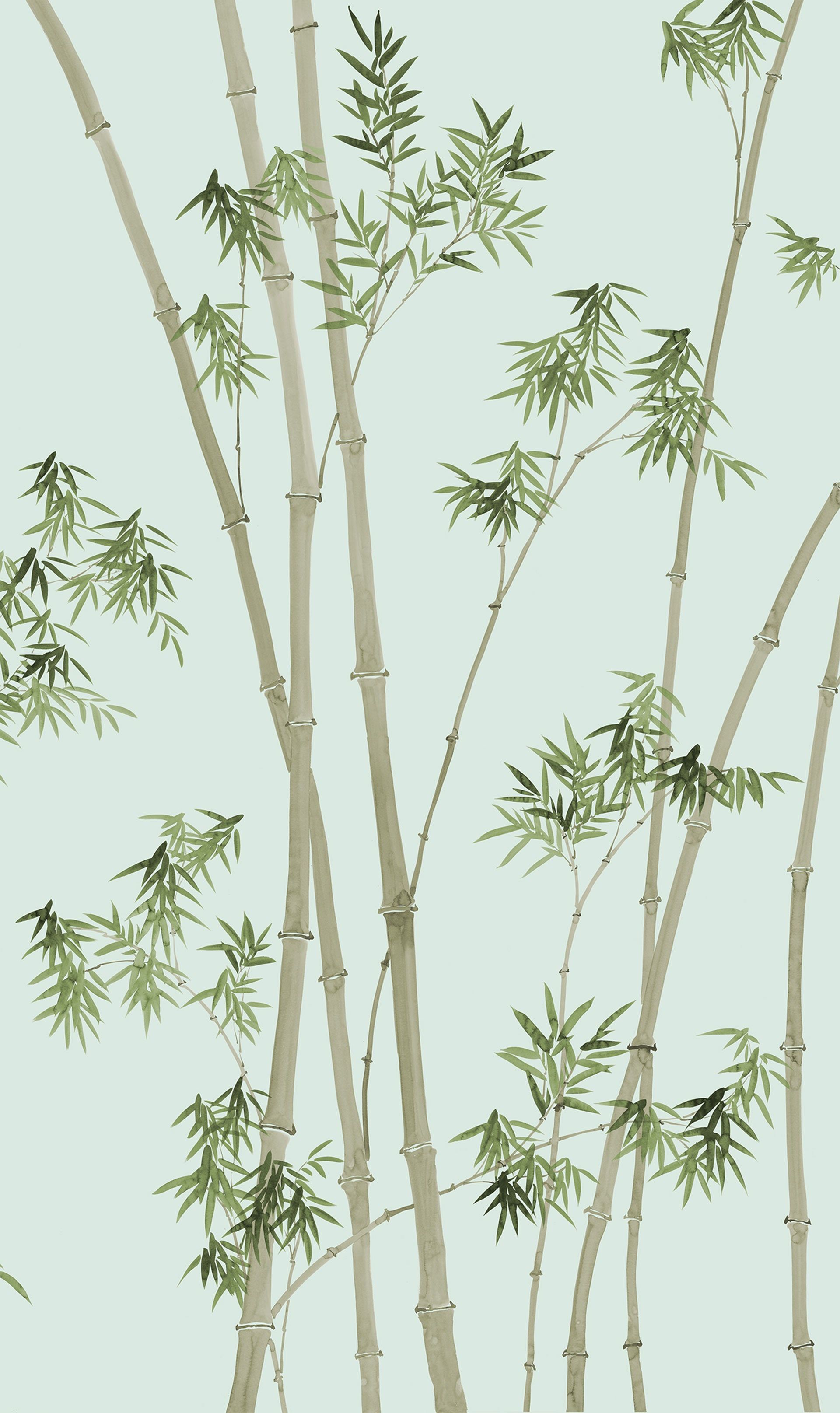 Bamboo Leaf Wallpapers