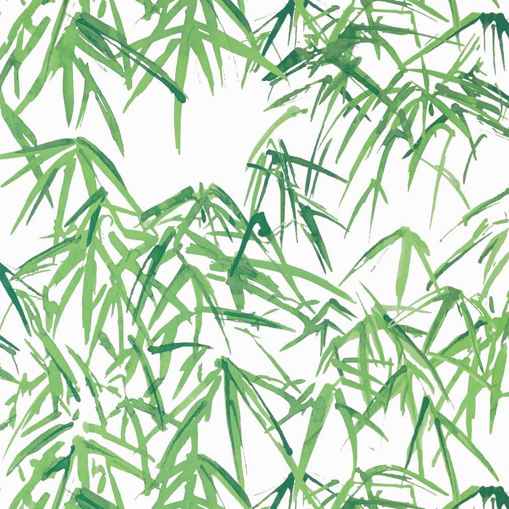 Bamboo Leaf Wallpapers