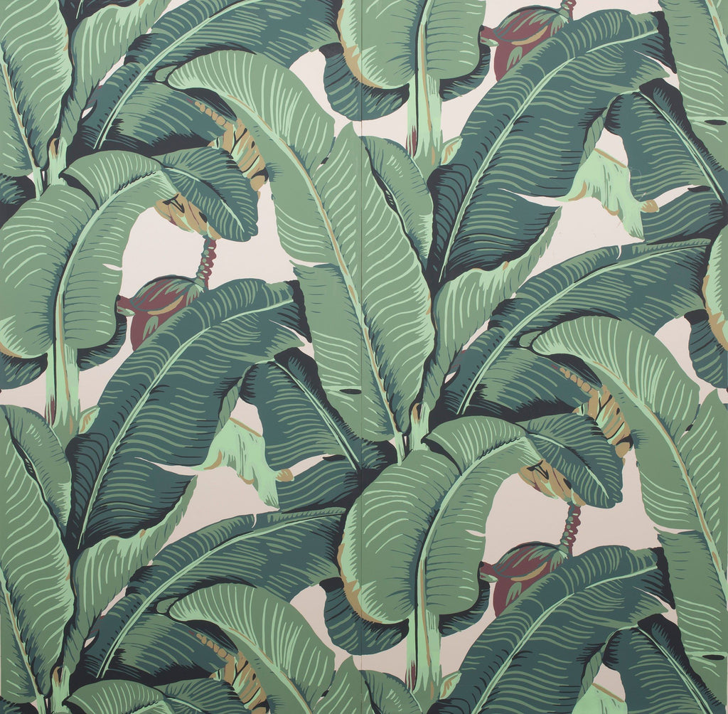 Banana Leaf Wallpapers