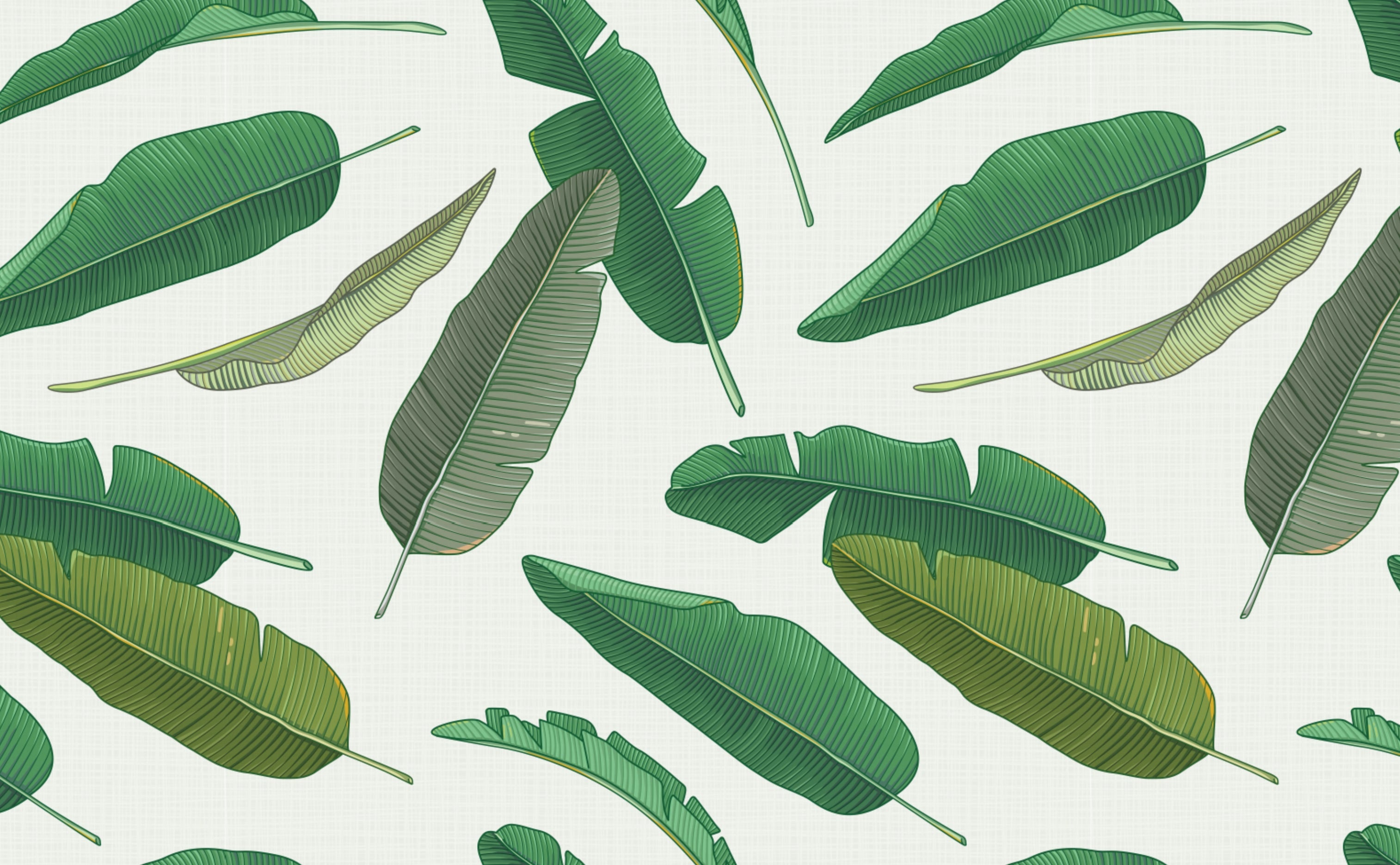 Banana Leaf Wallpapers