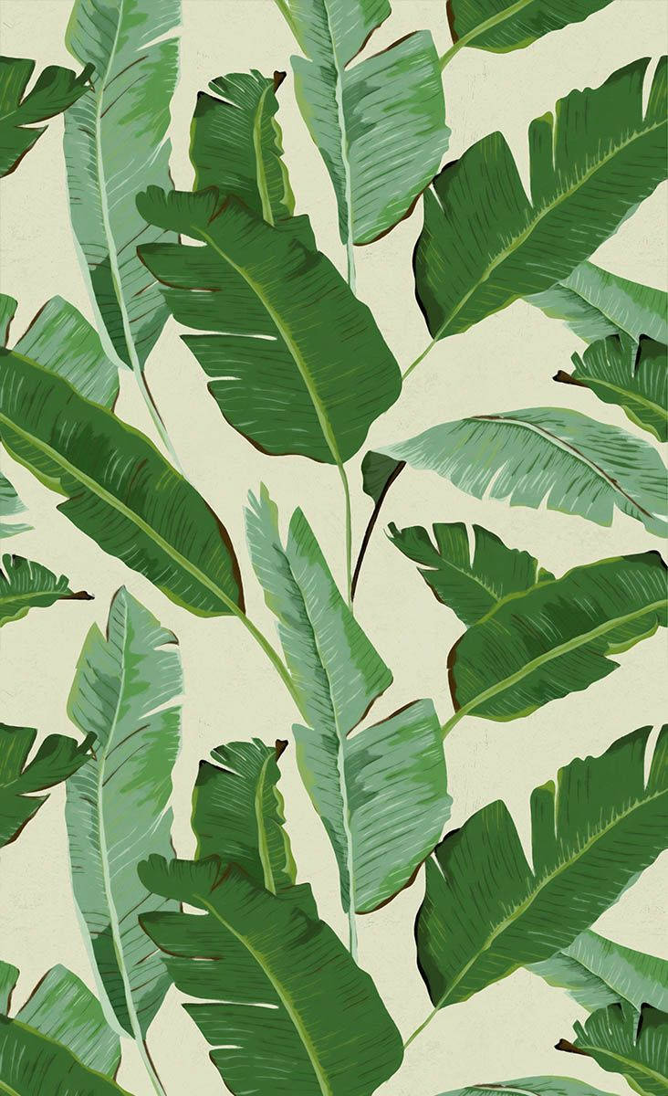 Banana Leaf Wallpapers