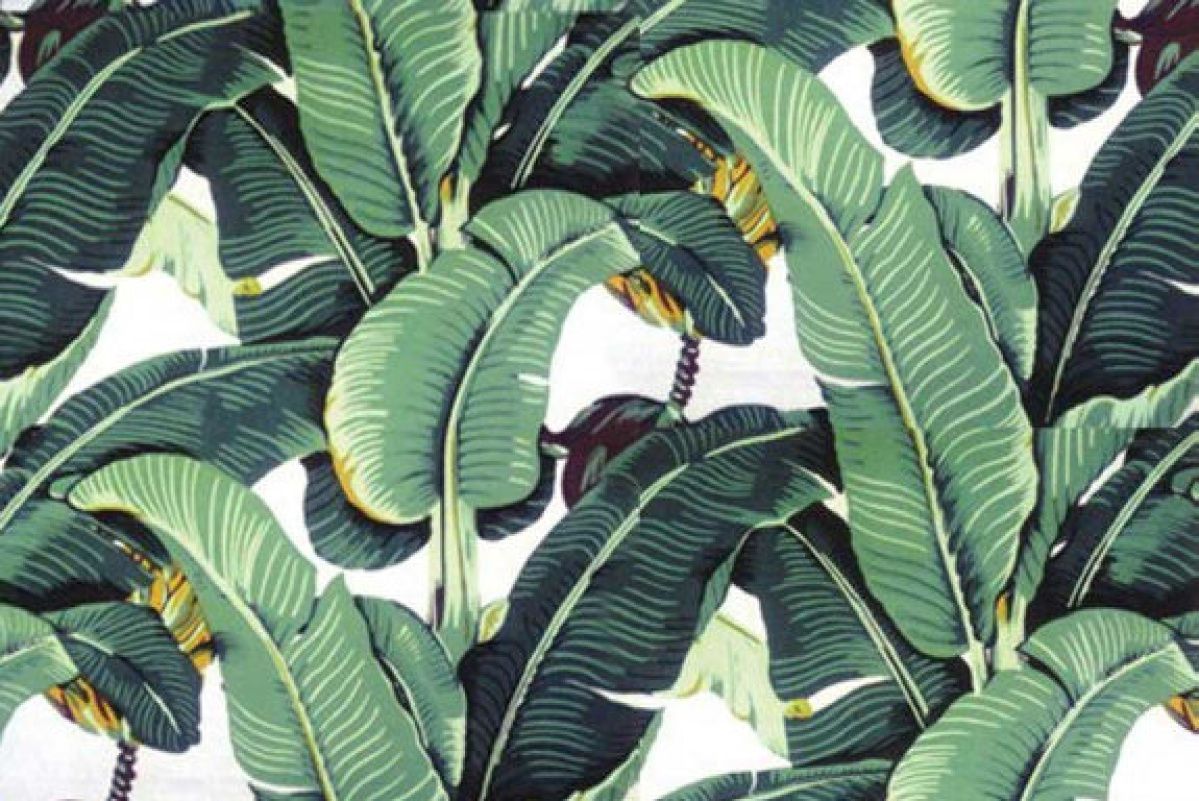 Banana Leaf Wallpapers