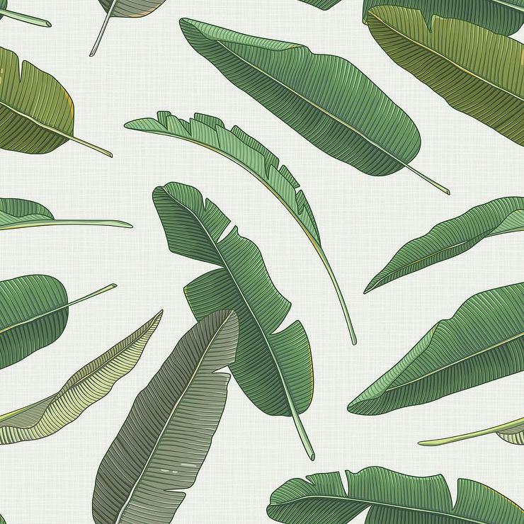 Banana Leaf Wallpapers