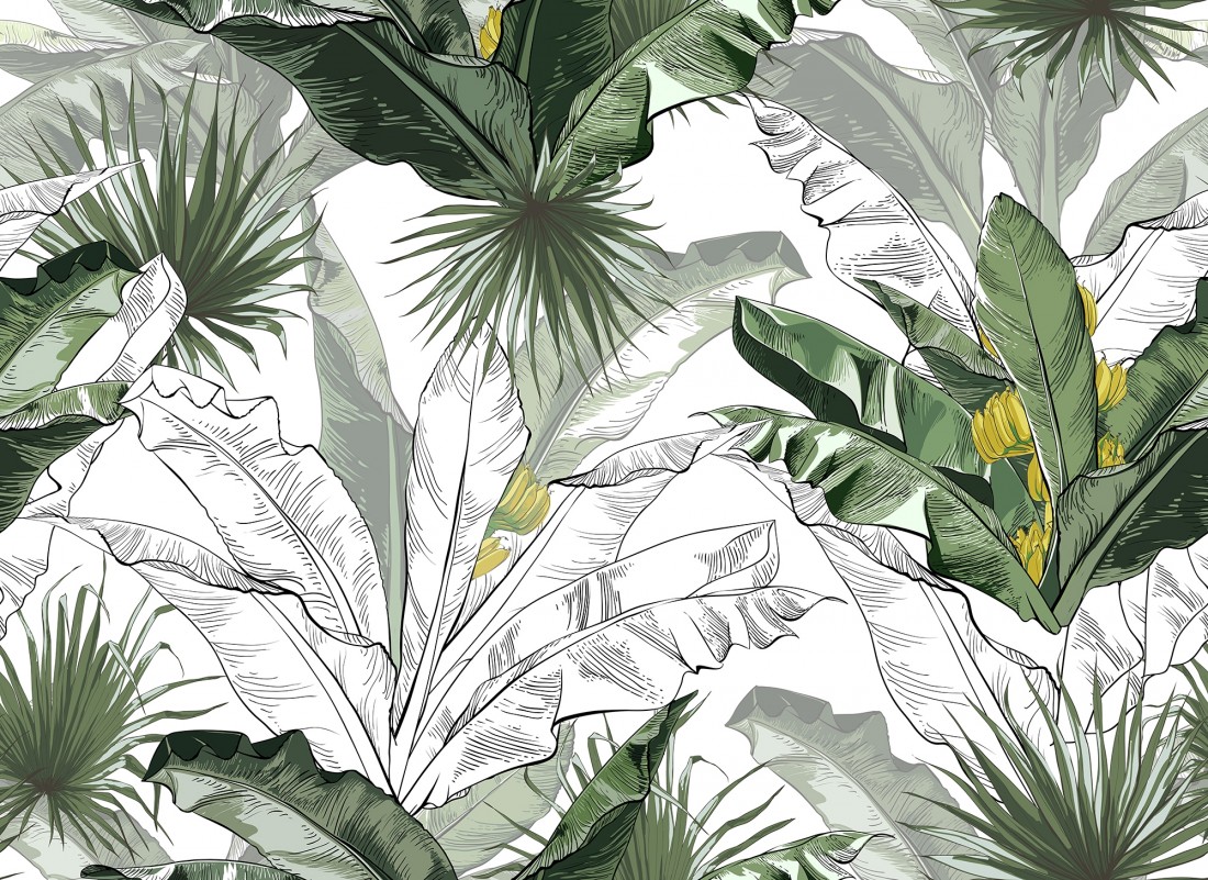 Banana Leaf Wallpapers