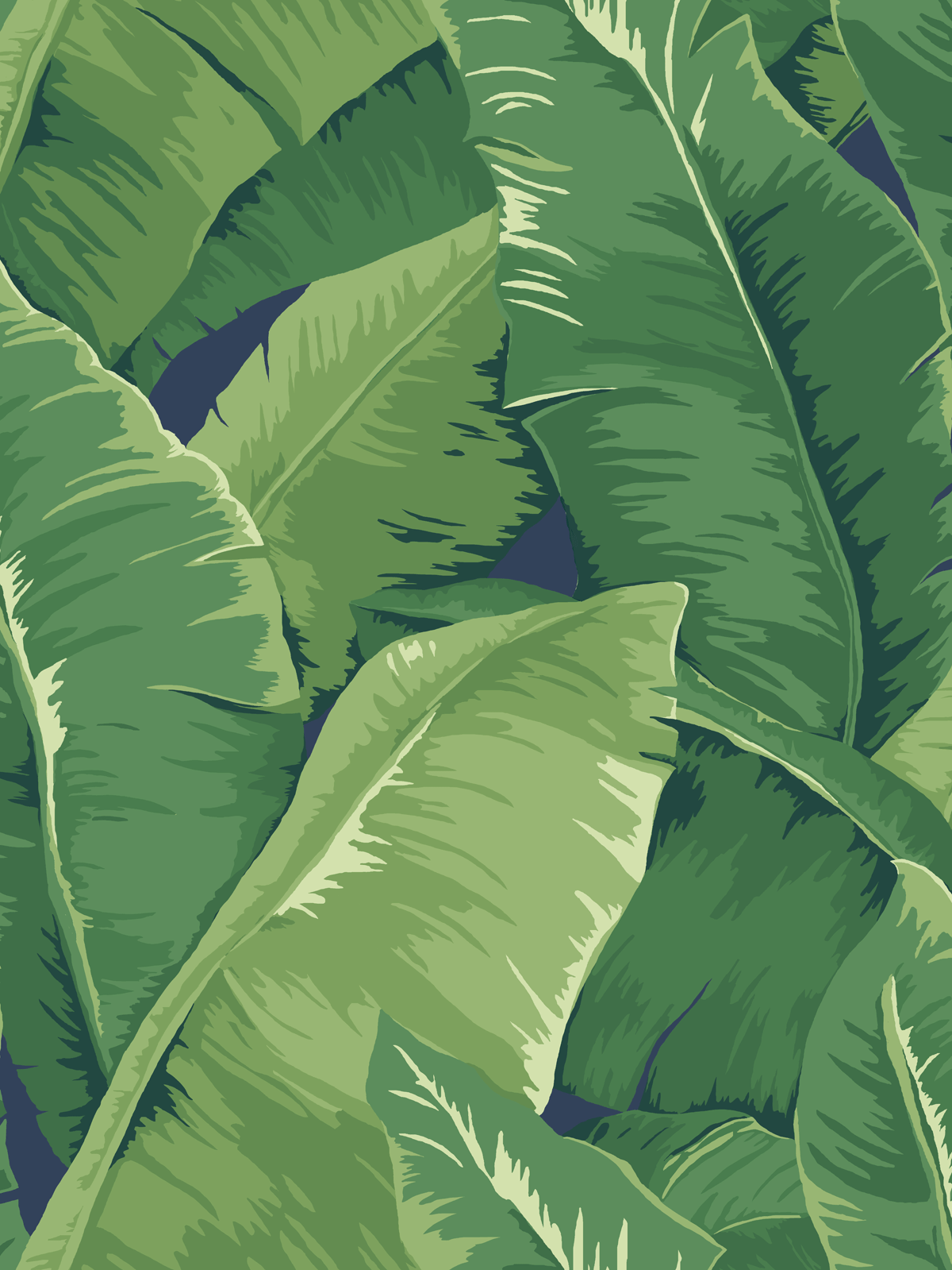 Banana Leaf Wallpapers