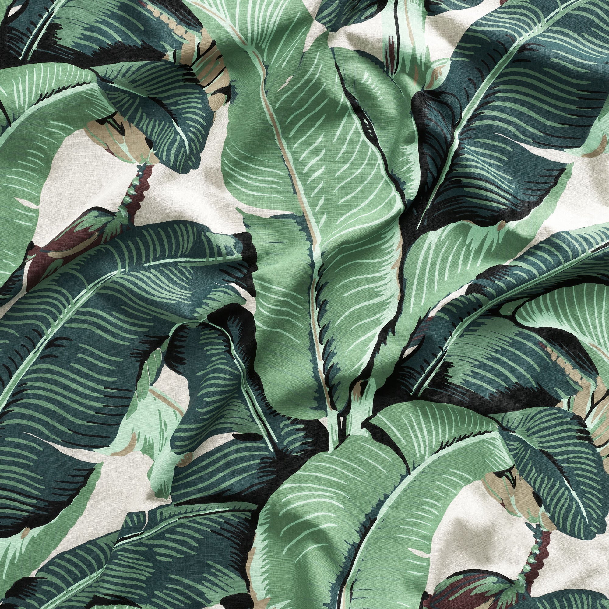 Banana Leaf Wallpapers