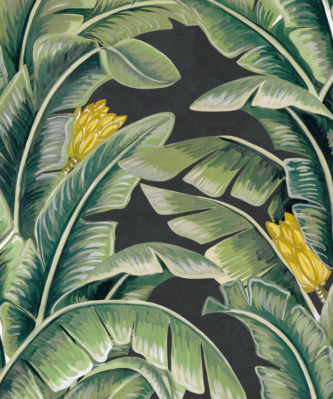 Banana Leaf Wallpapers