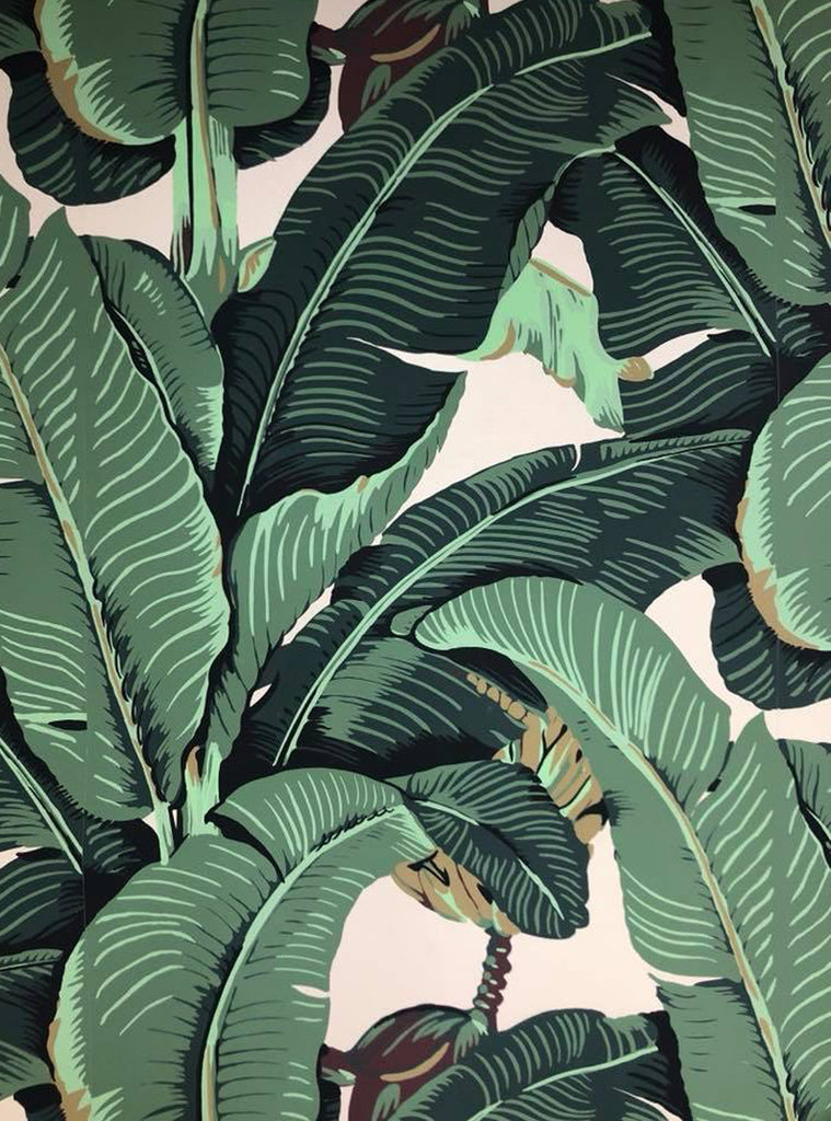 Banana Leaf Wallpapers