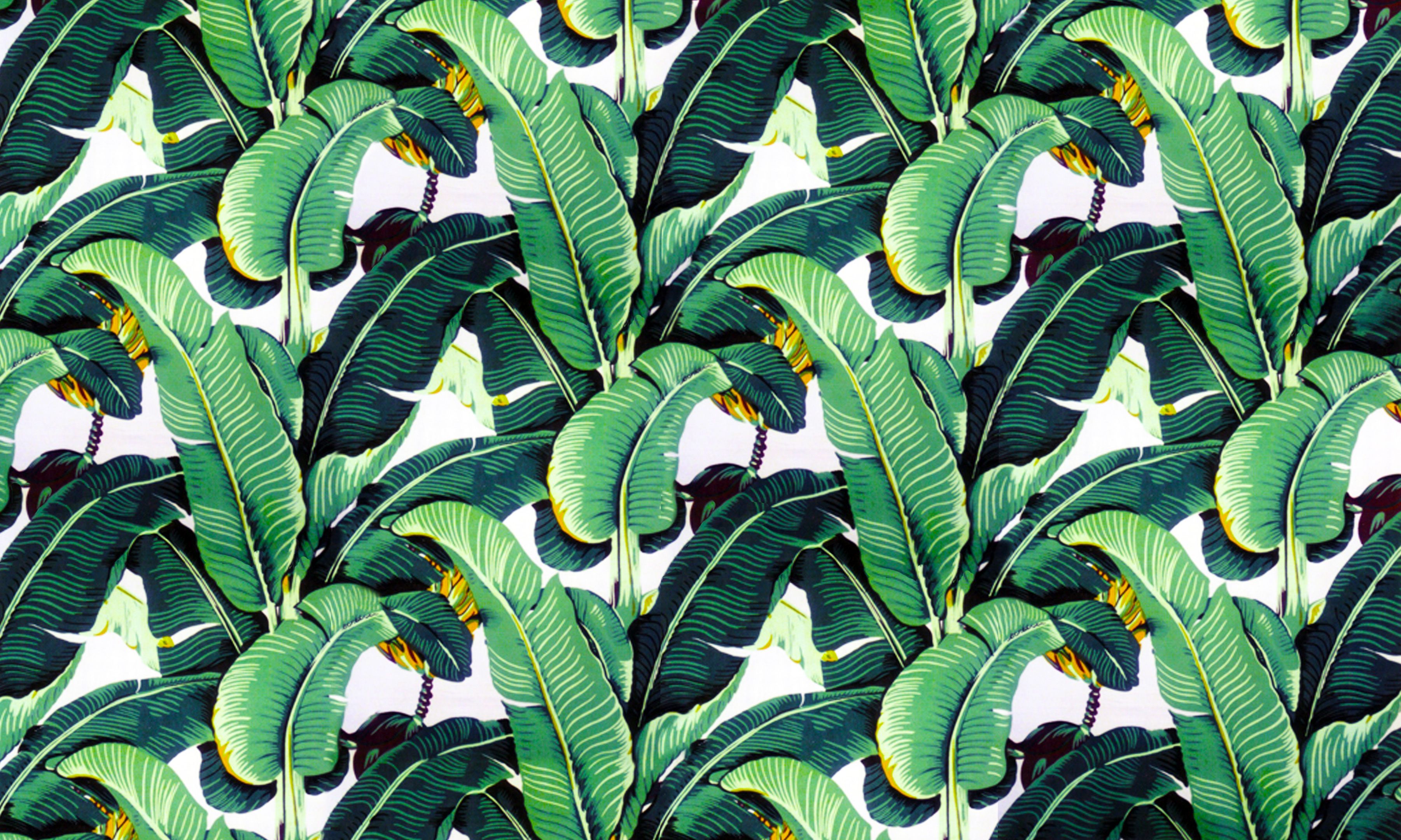 Banana Leaf Wallpapers