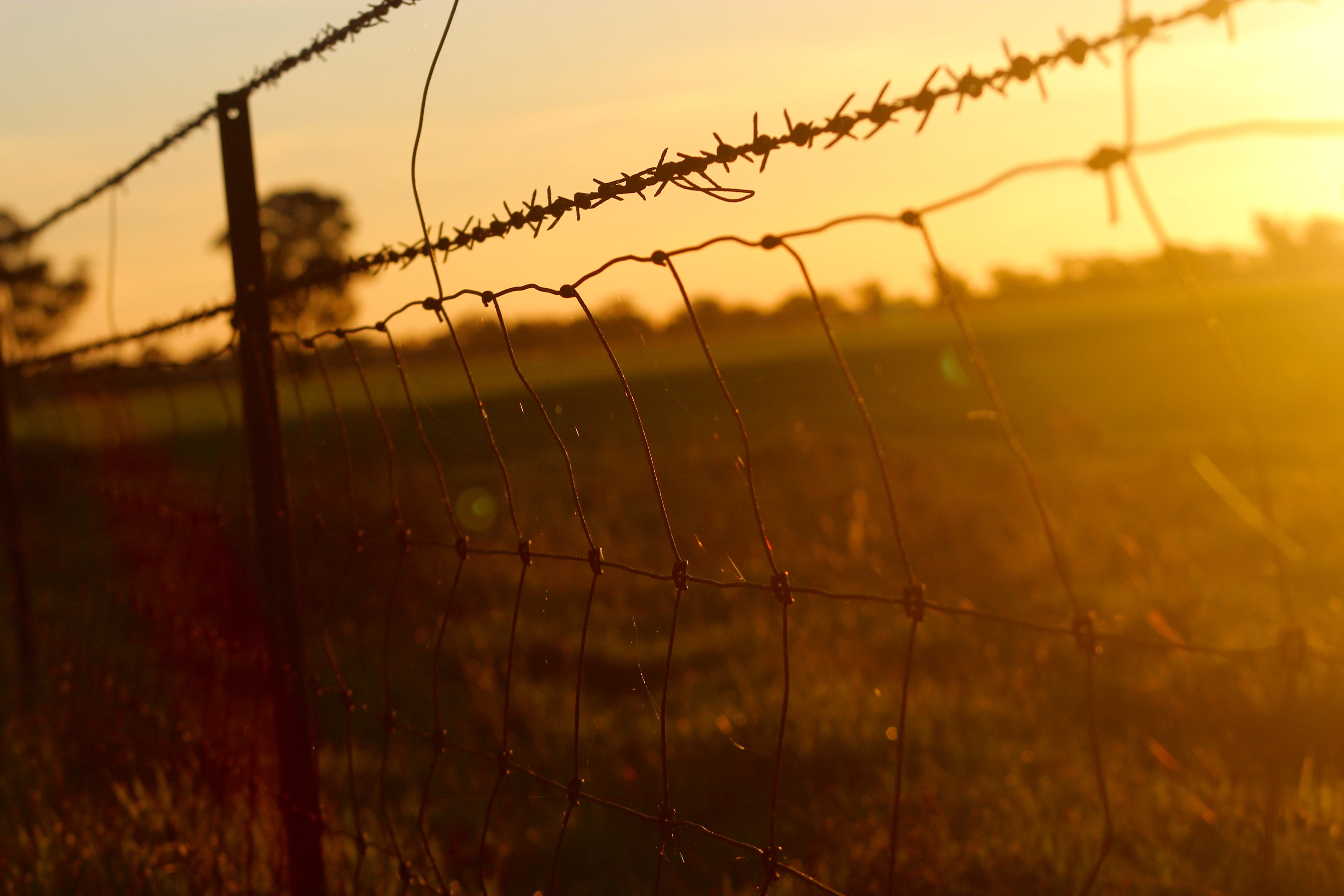 Barbed Wire Wallpapers