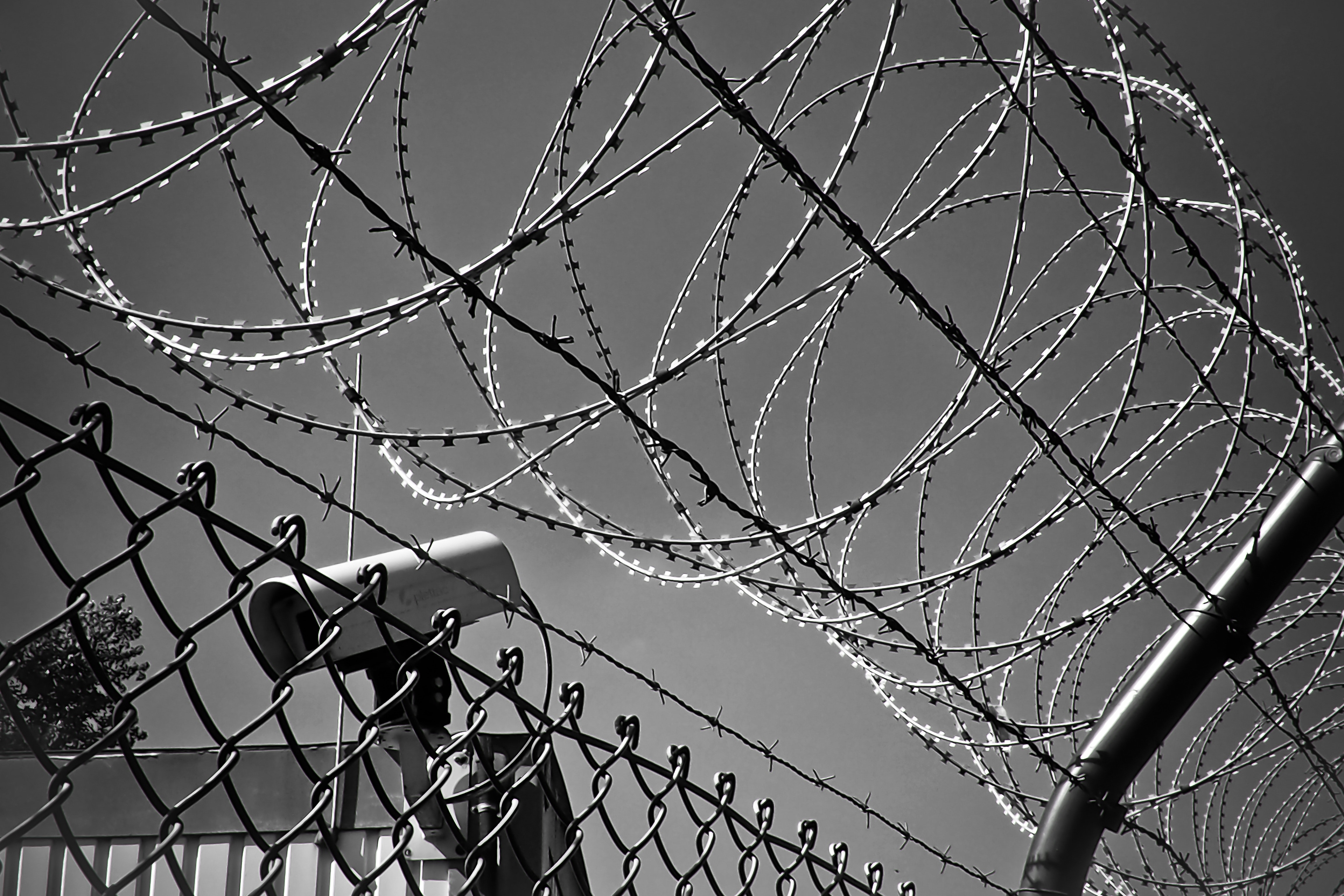 Barbed Wire Border Wallpapers