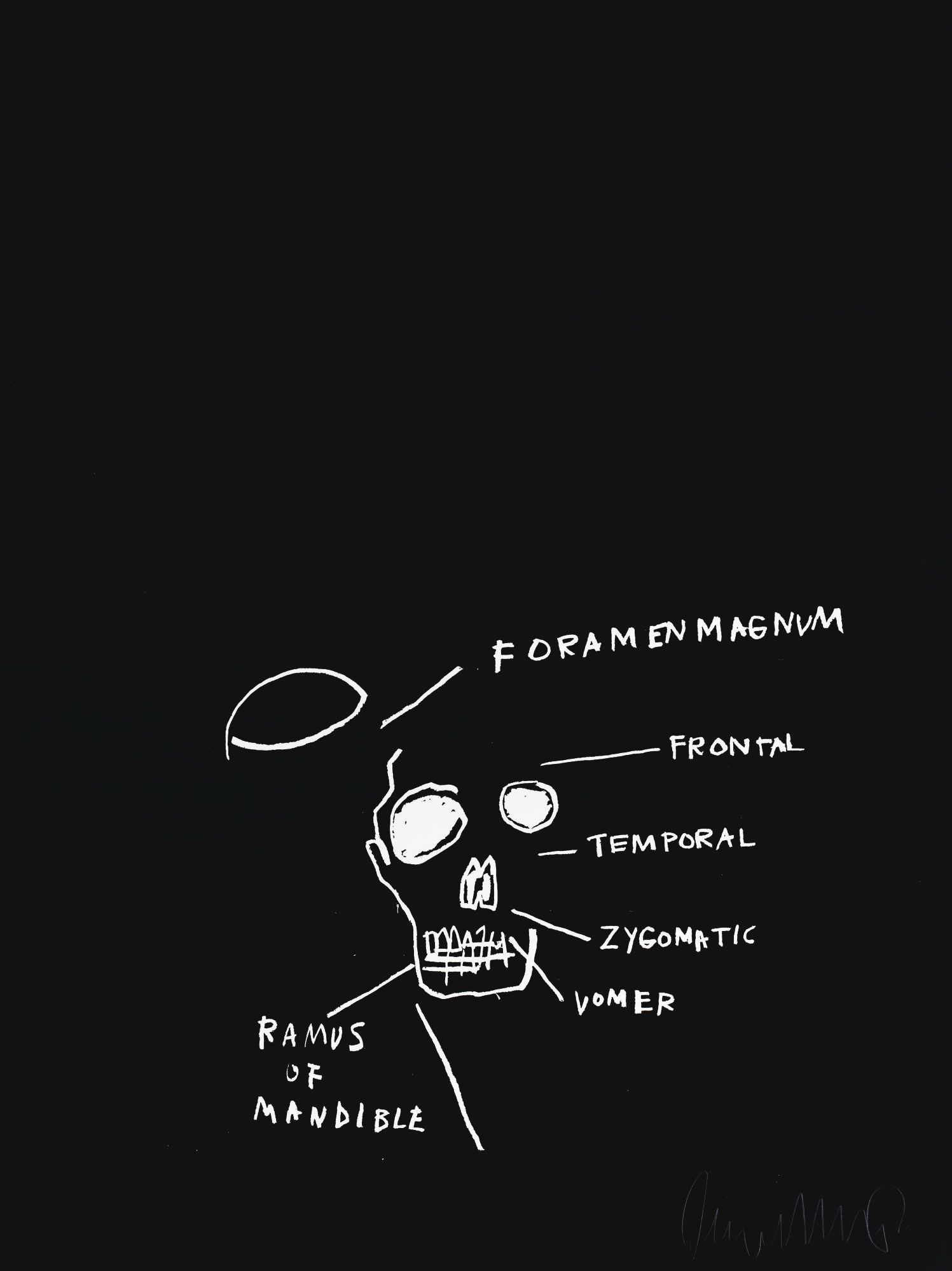 Basquiat Wallpapers