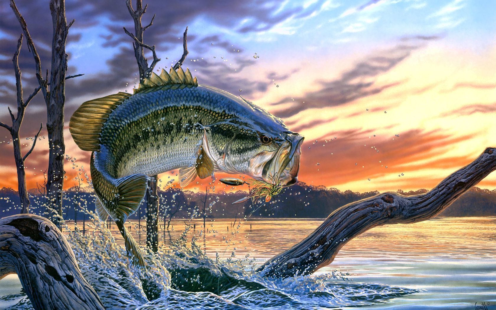 Bass Fishing Wallpapers