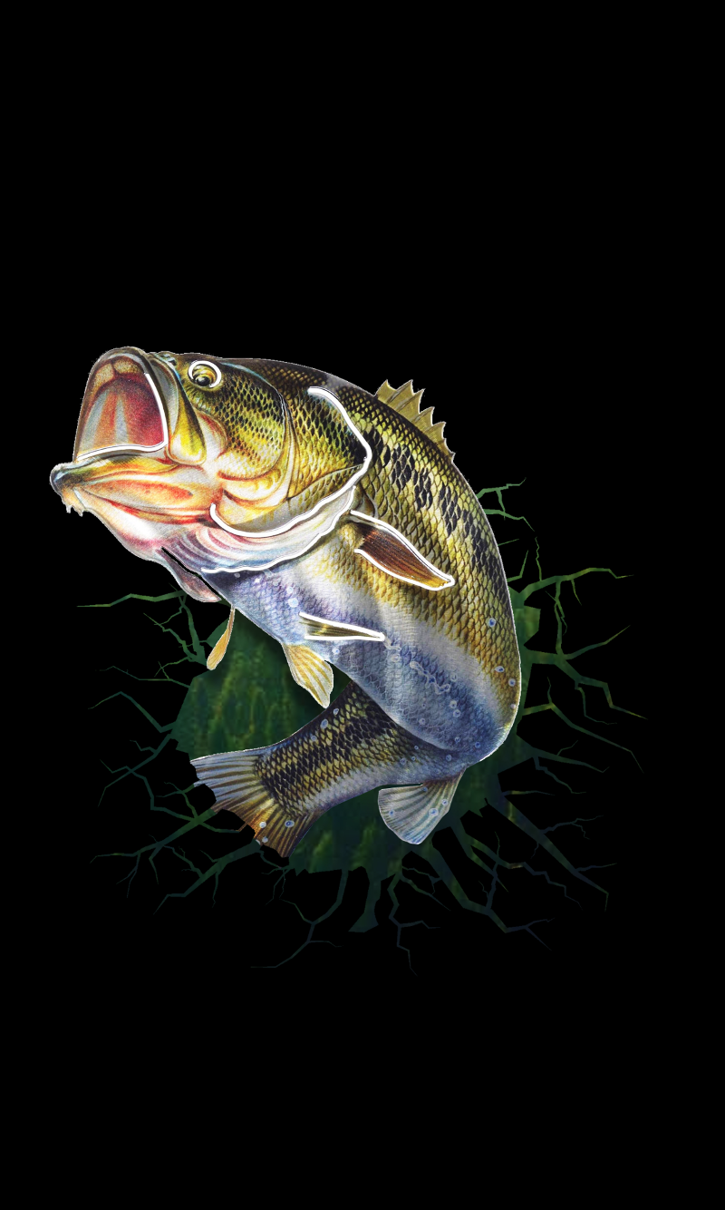 Bass Fishing Wallpapers