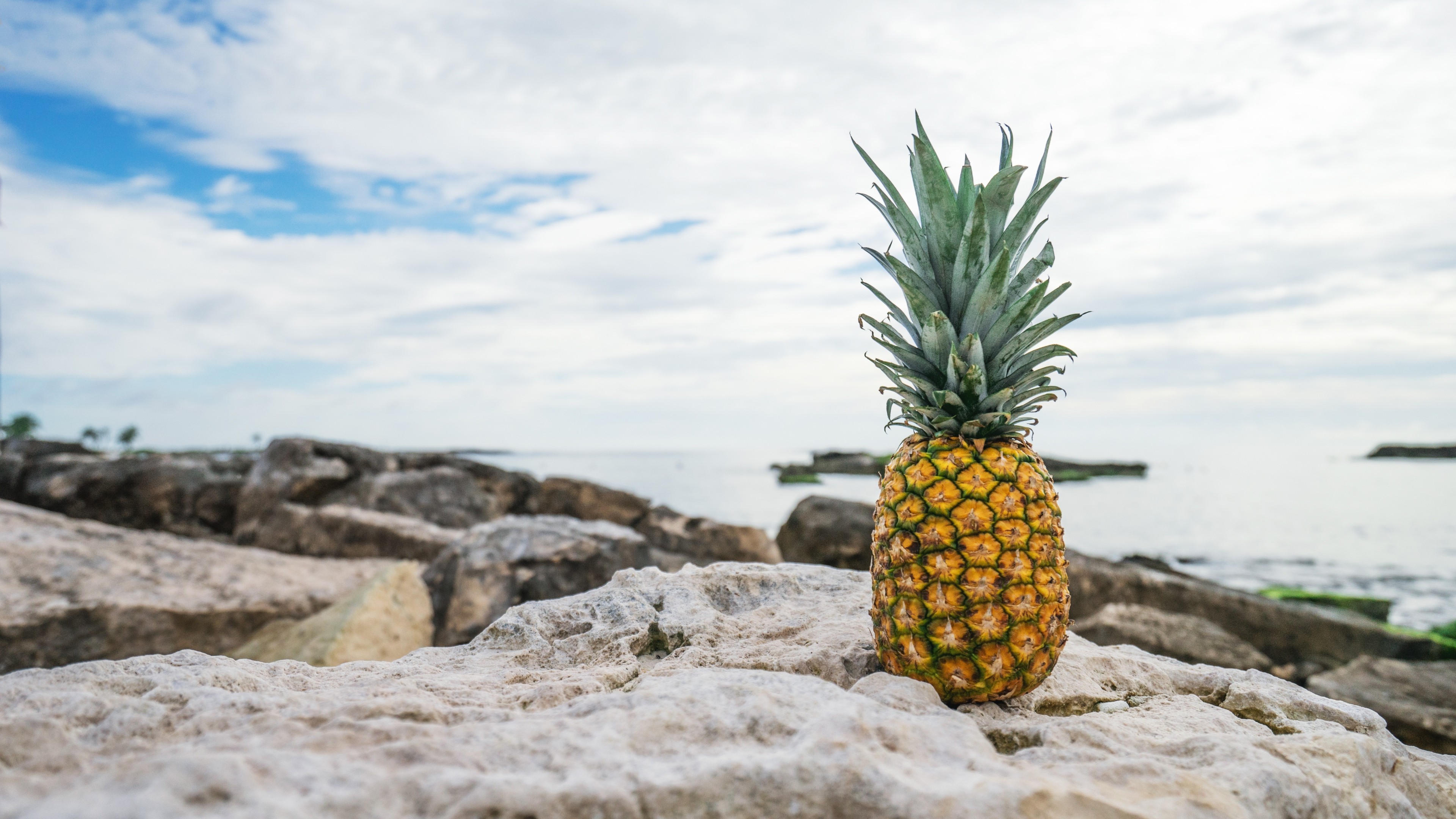 Beach Pineapple Wallpapers