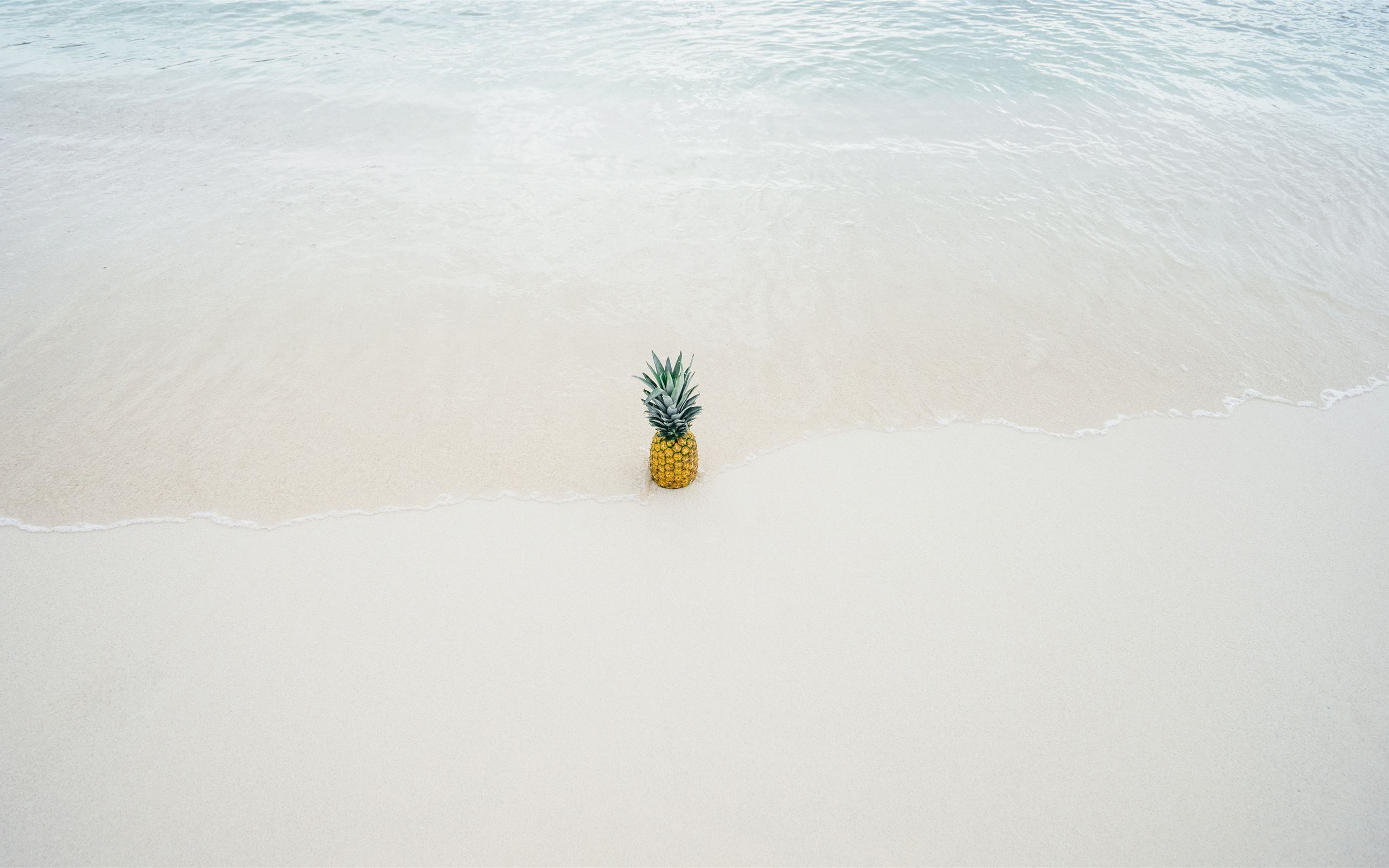 Beach Pineapple Wallpapers