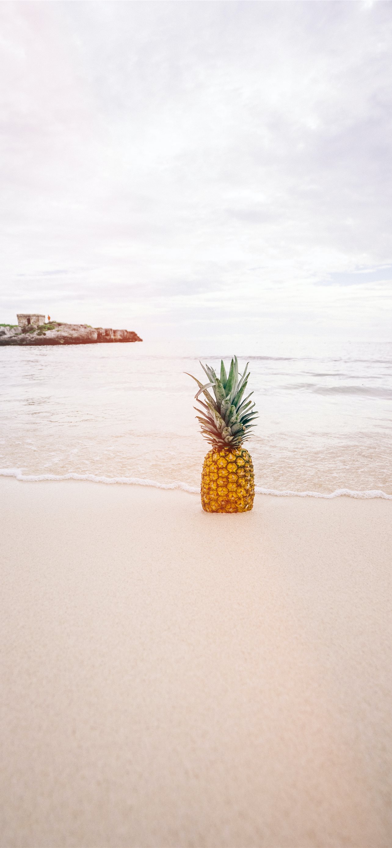 Beach Pineapple Wallpapers